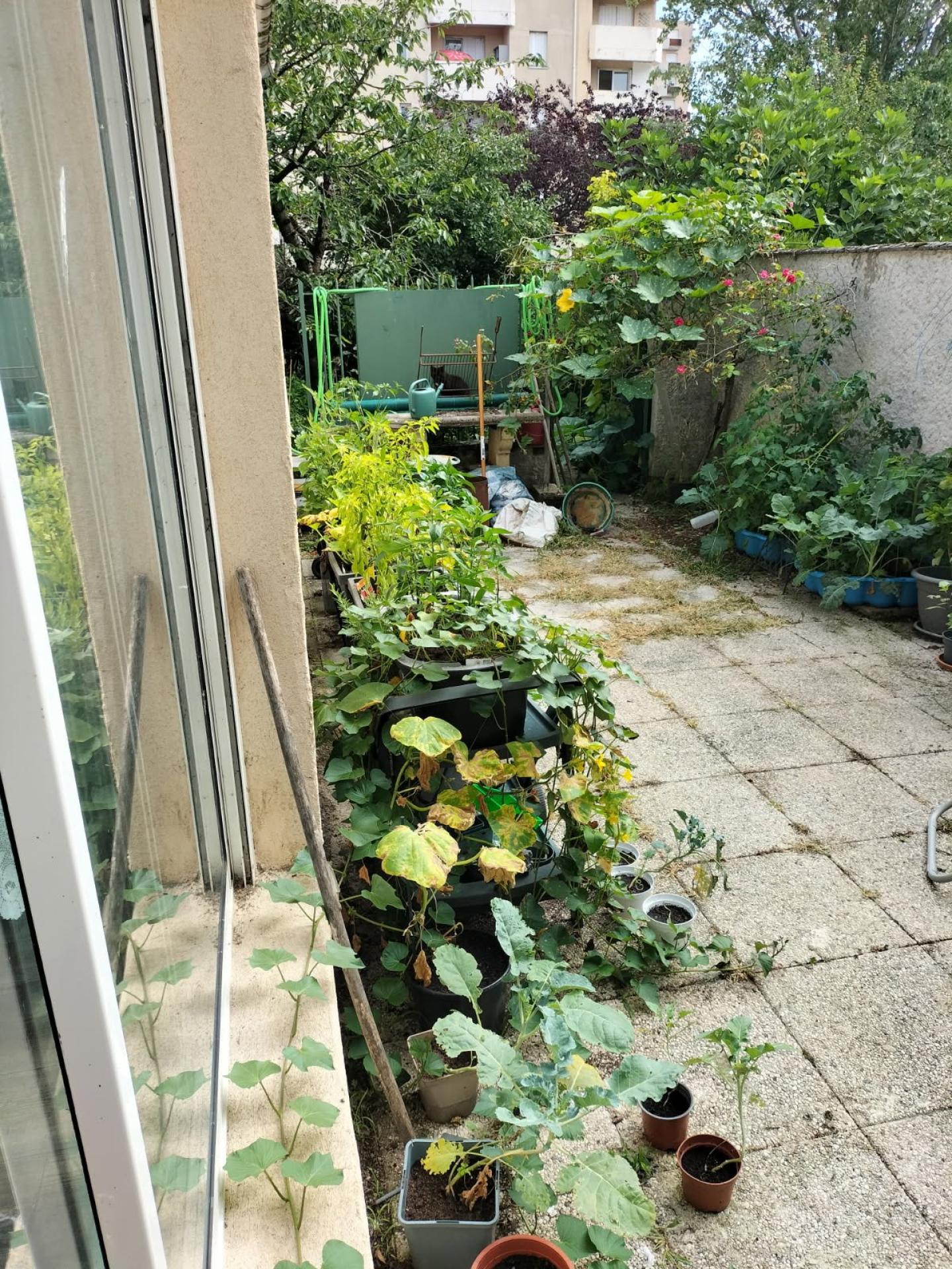 Miniature photo - 3 / 7