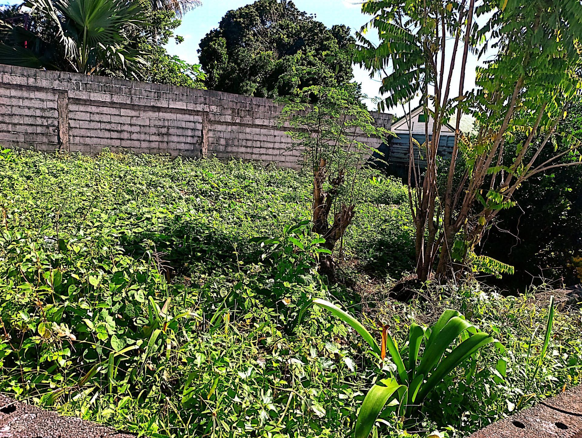 Miniature photo - 11 / 11