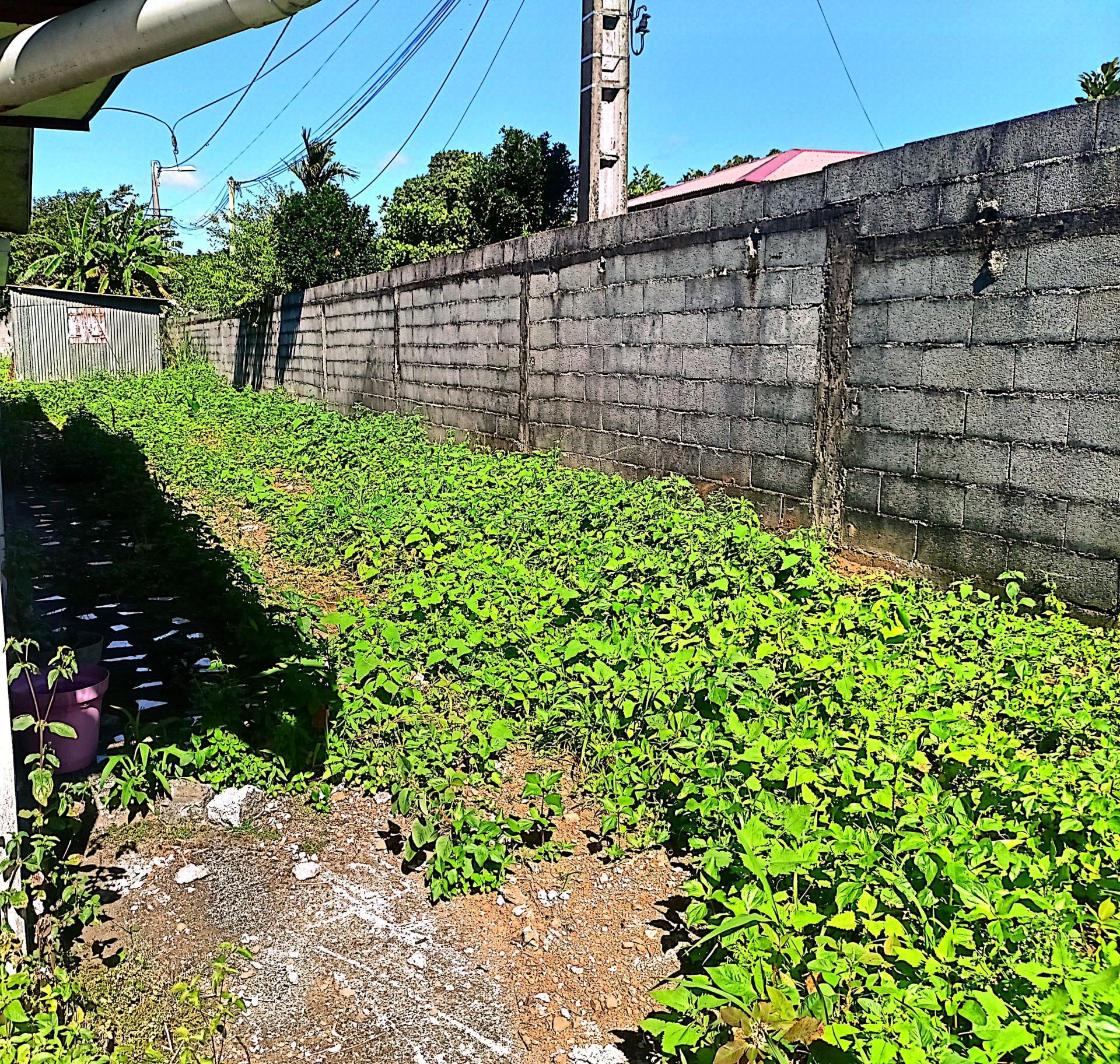 Miniature photo - 9 / 11