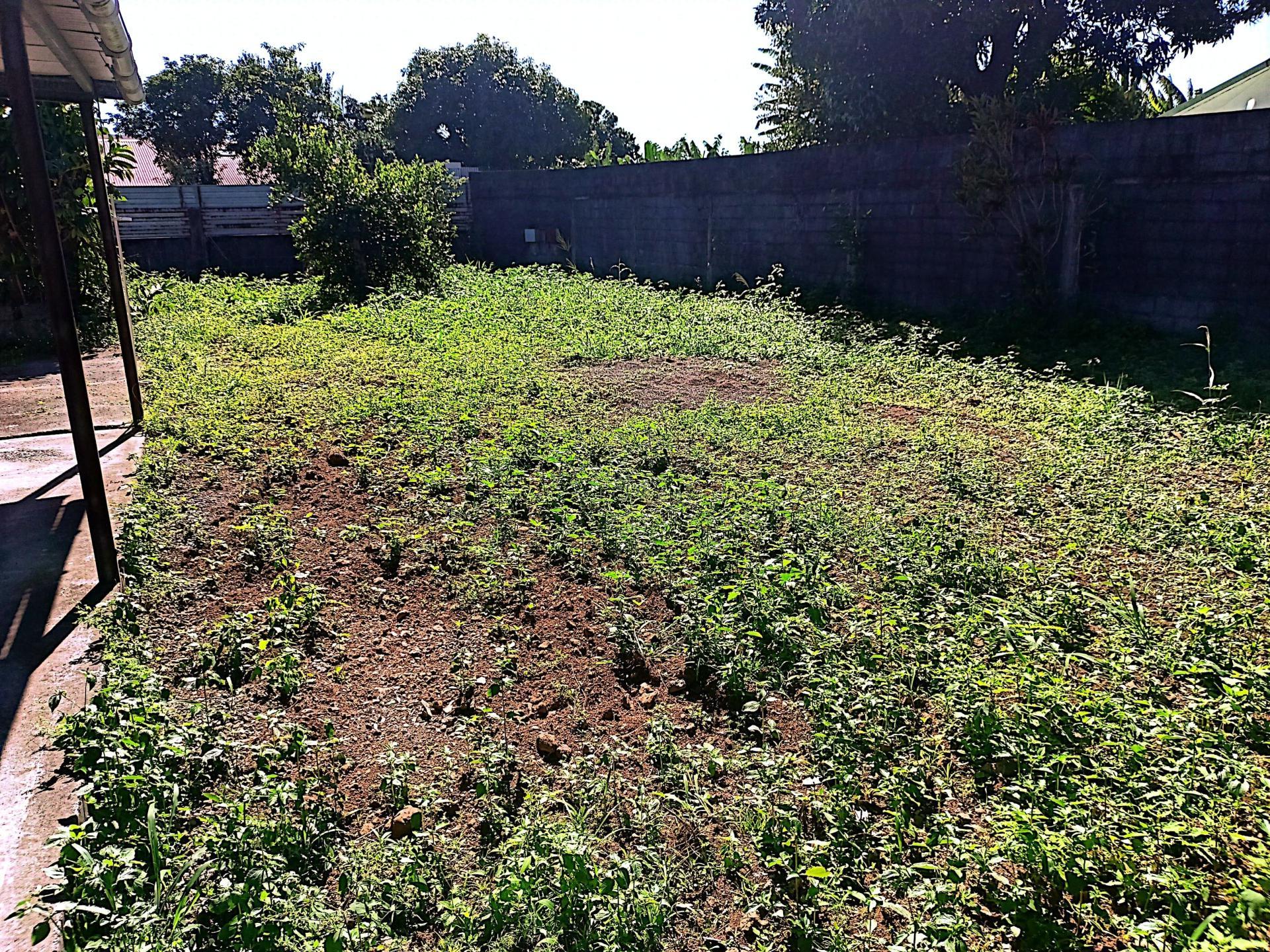 Miniature photo - 5 / 11