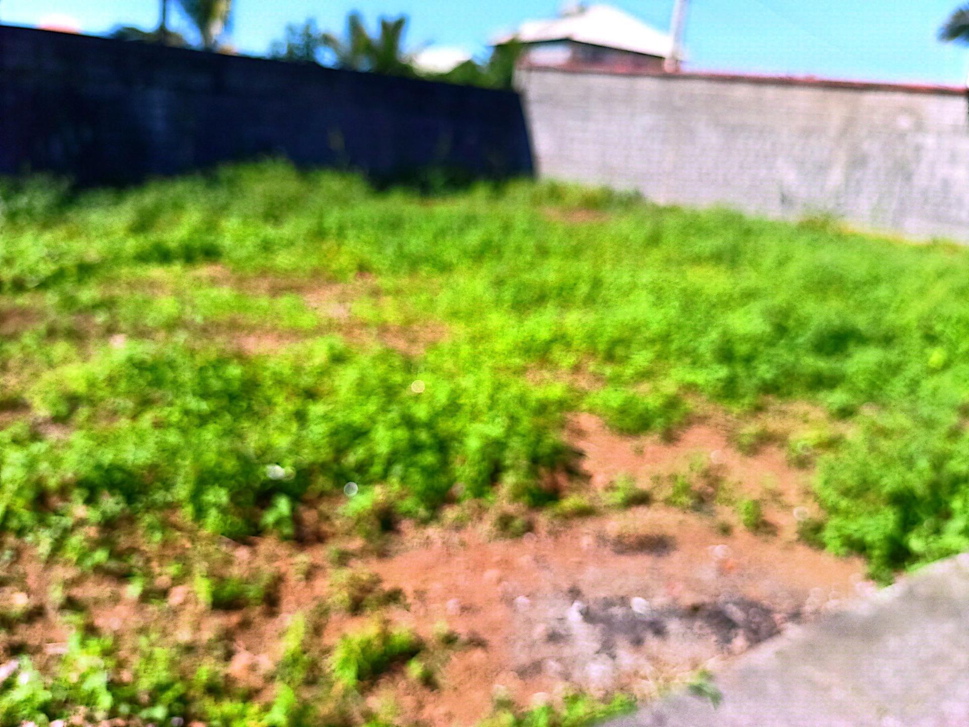 Miniature photo - 4 / 11