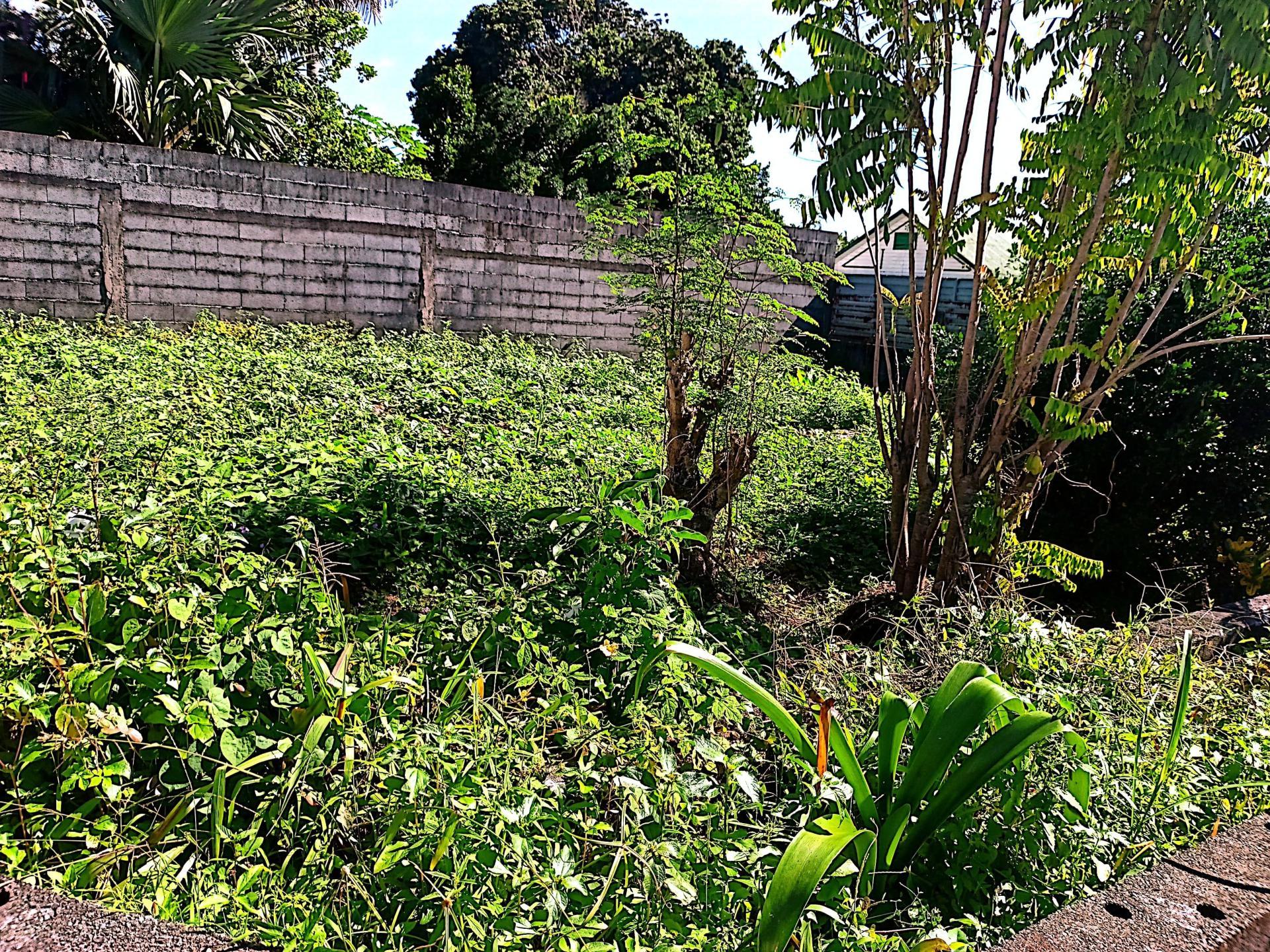 Miniature photo - 8 / 11