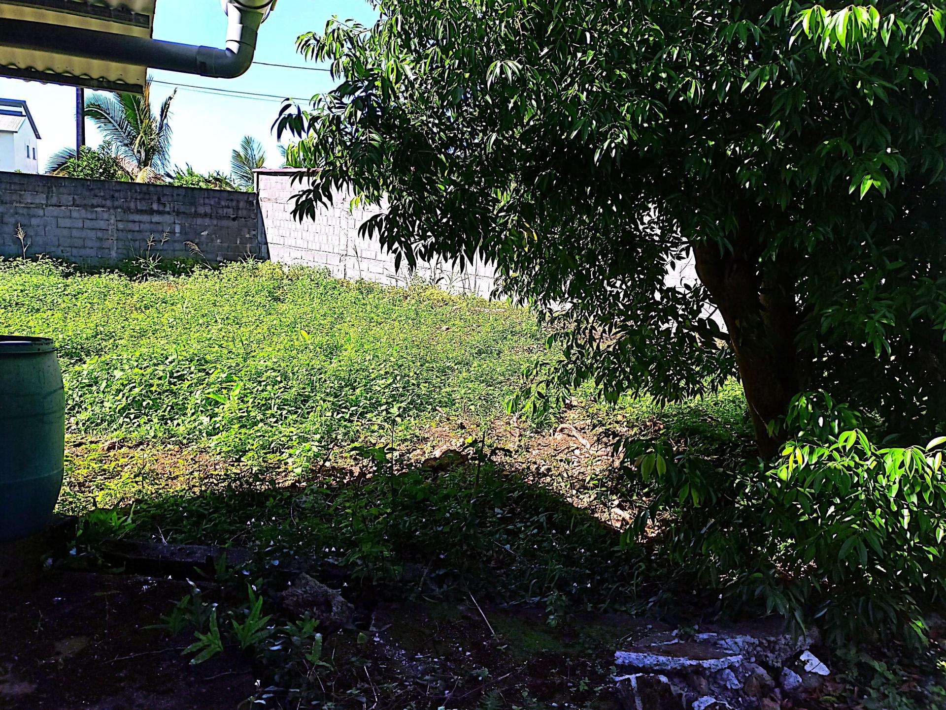 Miniature photo - 3 / 11