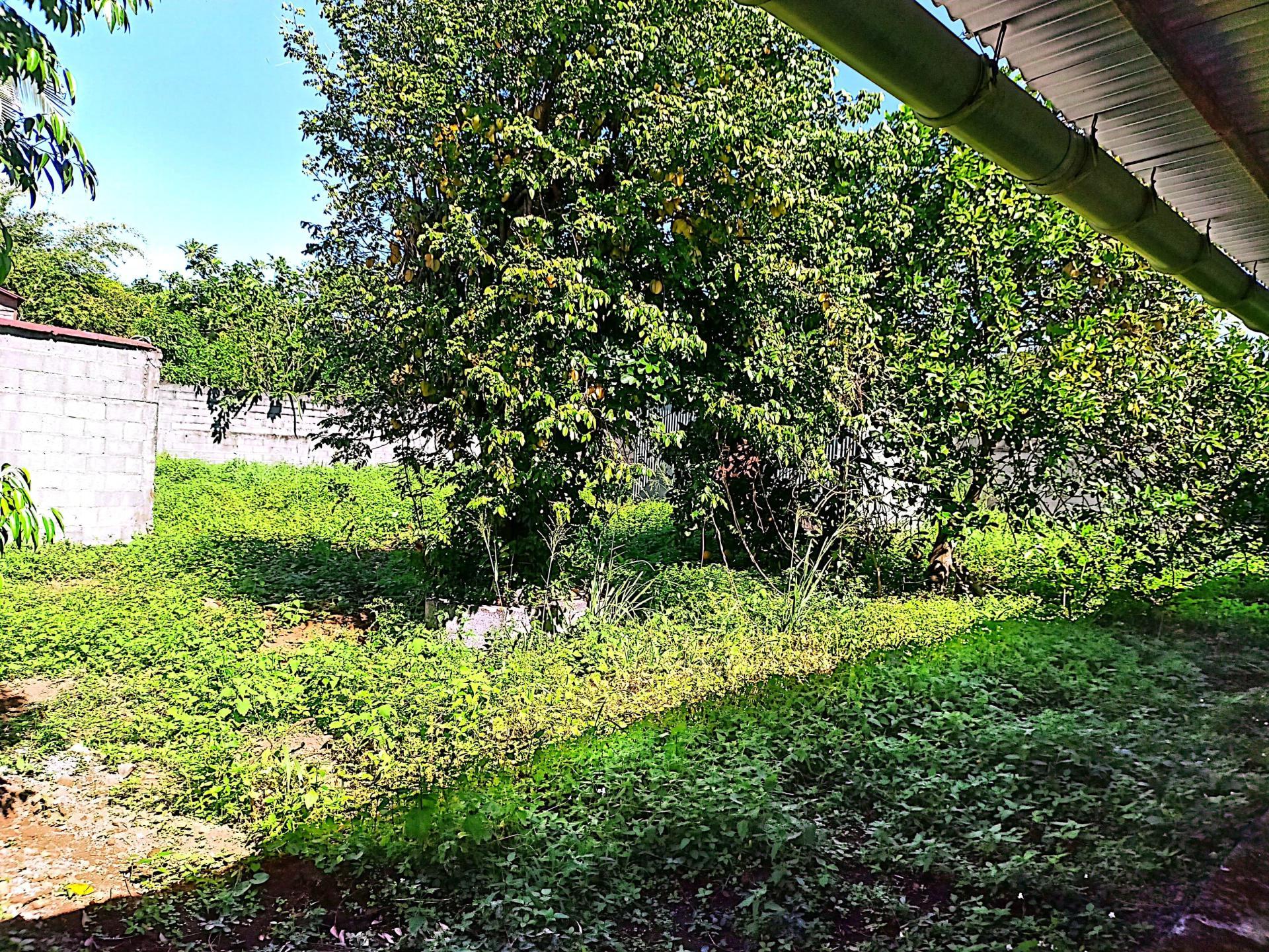 Miniature photo - 10 / 11