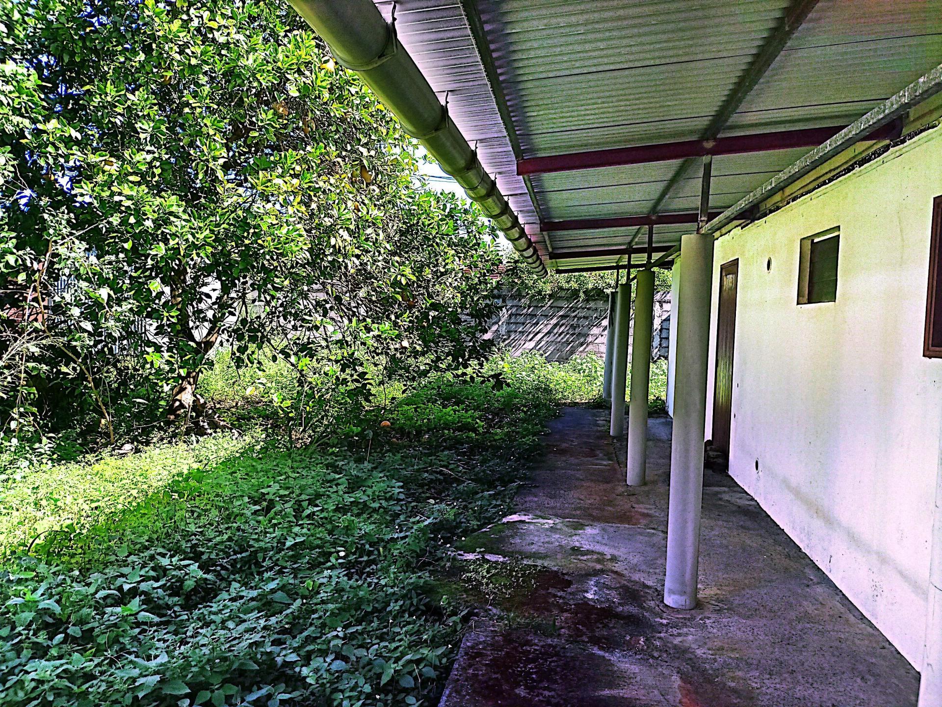 Miniature photo - 7 / 11