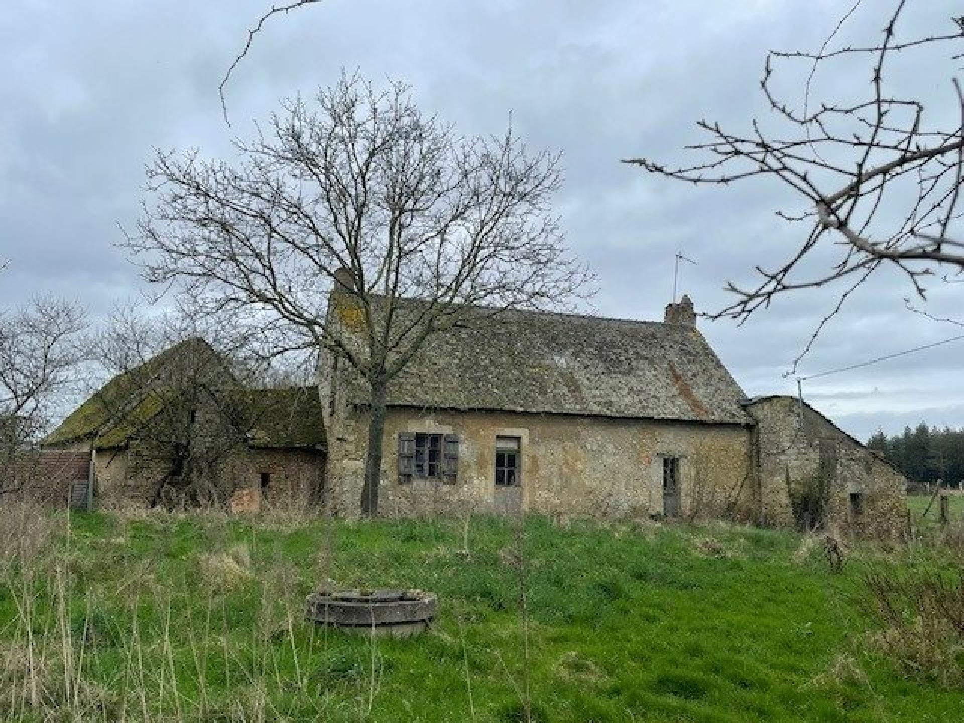 Miniature photo - 3 / 10