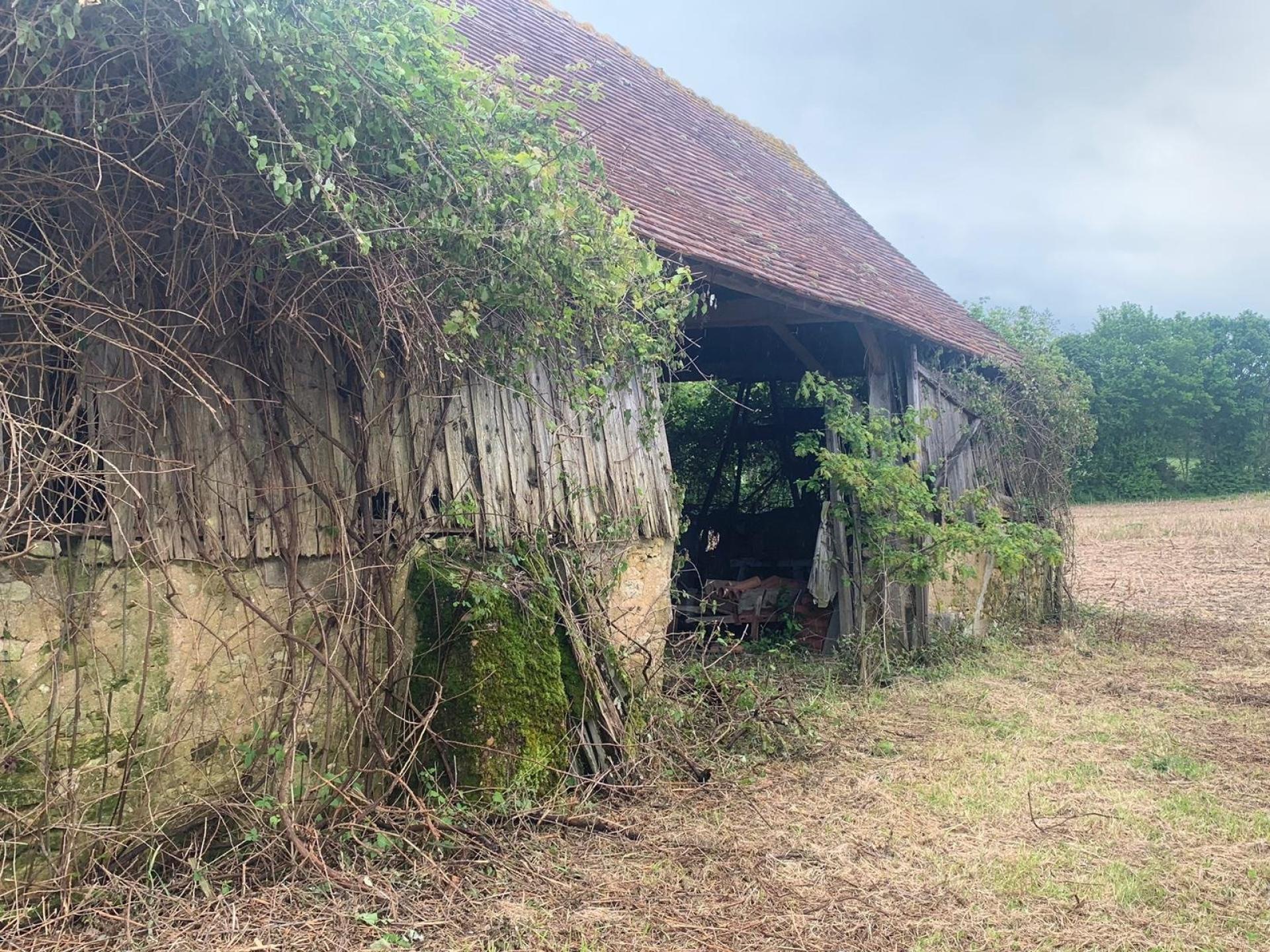 Miniature photo - 8 / 8