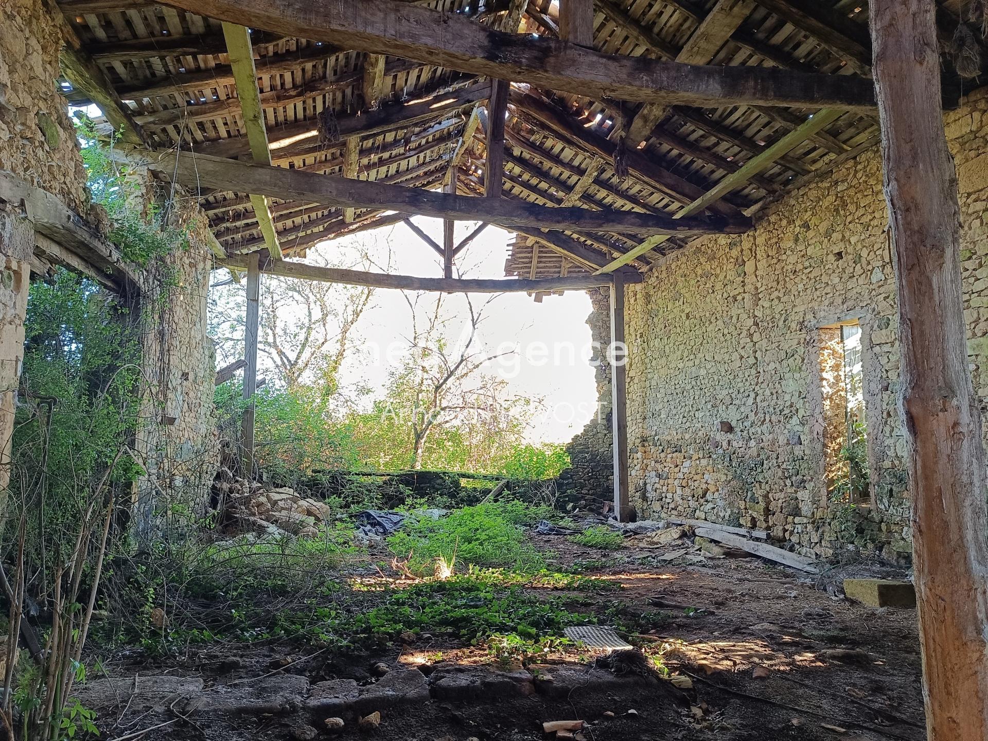 Miniature photo - 3 / 5