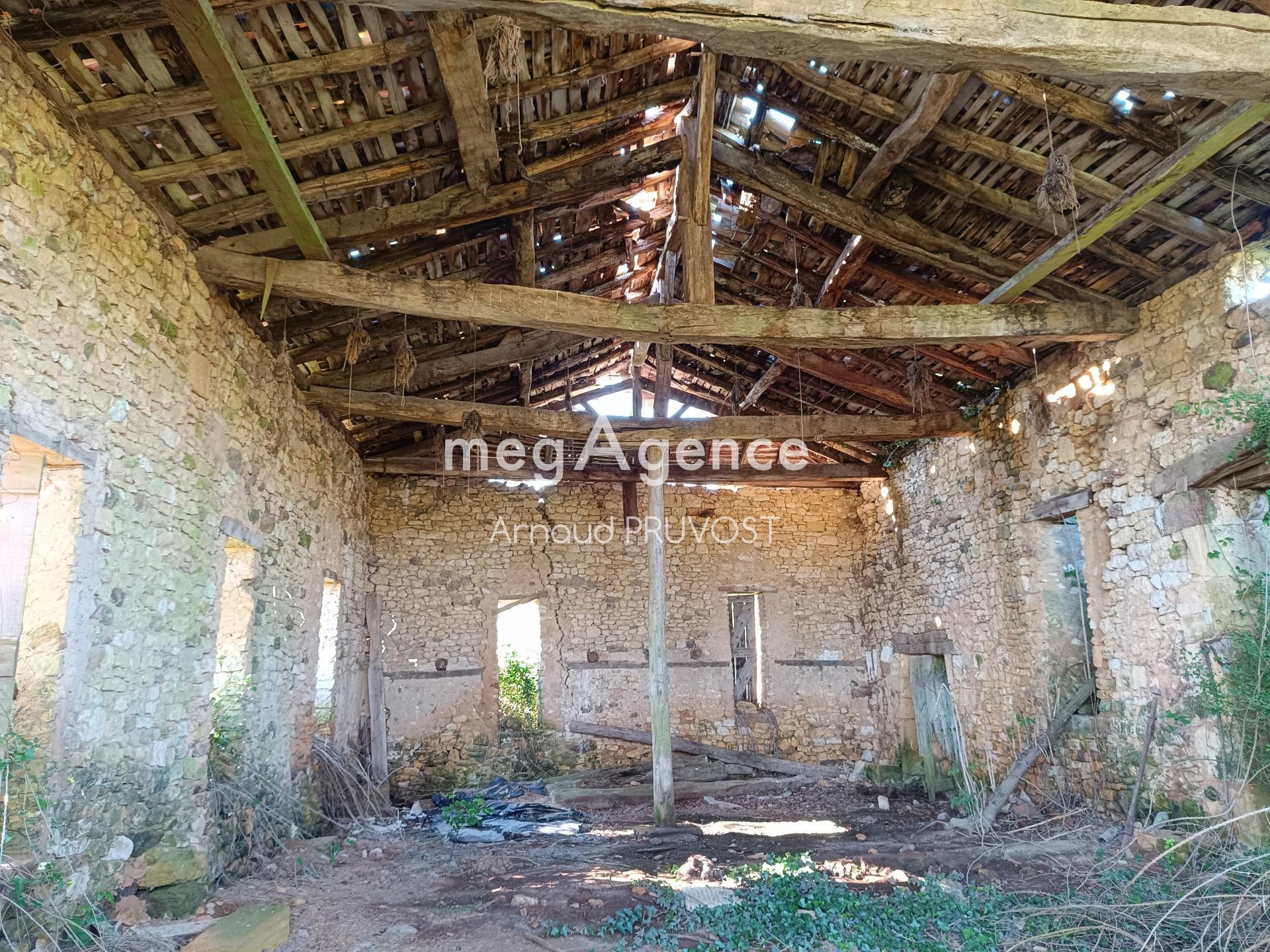 Miniature photo - 2 / 5