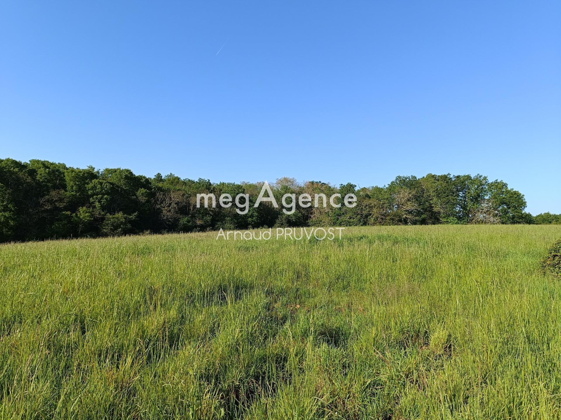 Miniature photo - 5 / 5