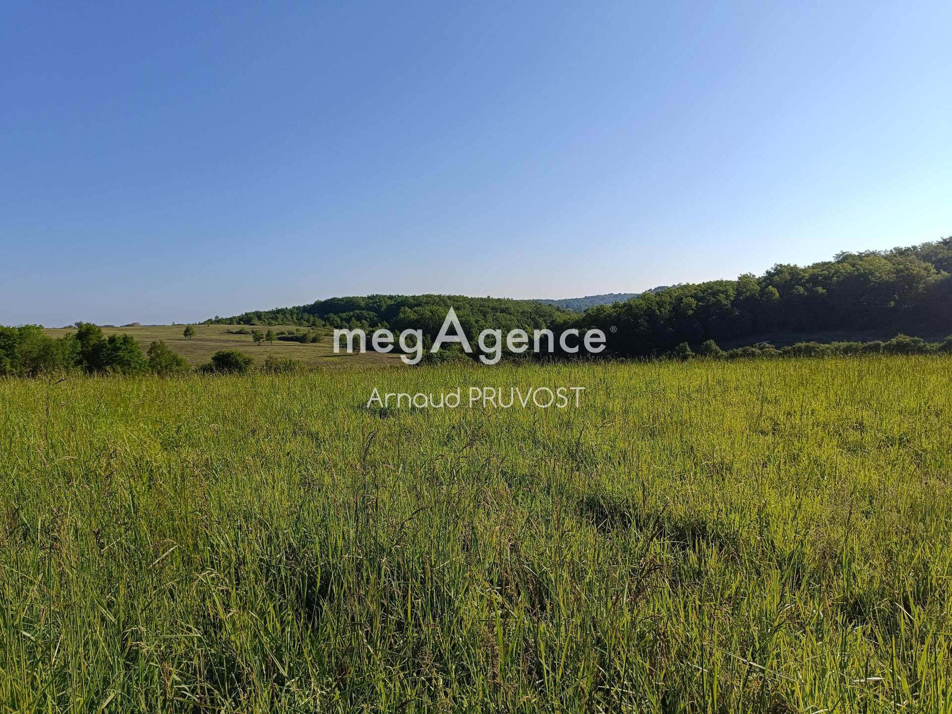 Miniature photo - 4 / 5