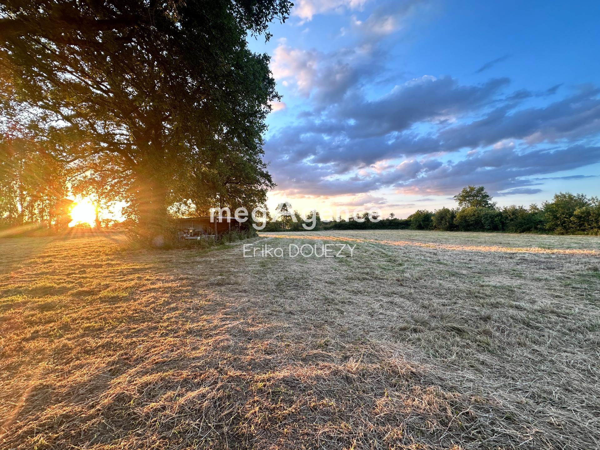 Miniature photo - 2 / 10