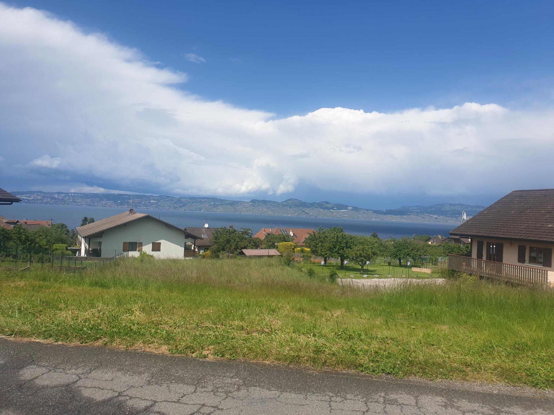 Miniature photo - 2 / 2