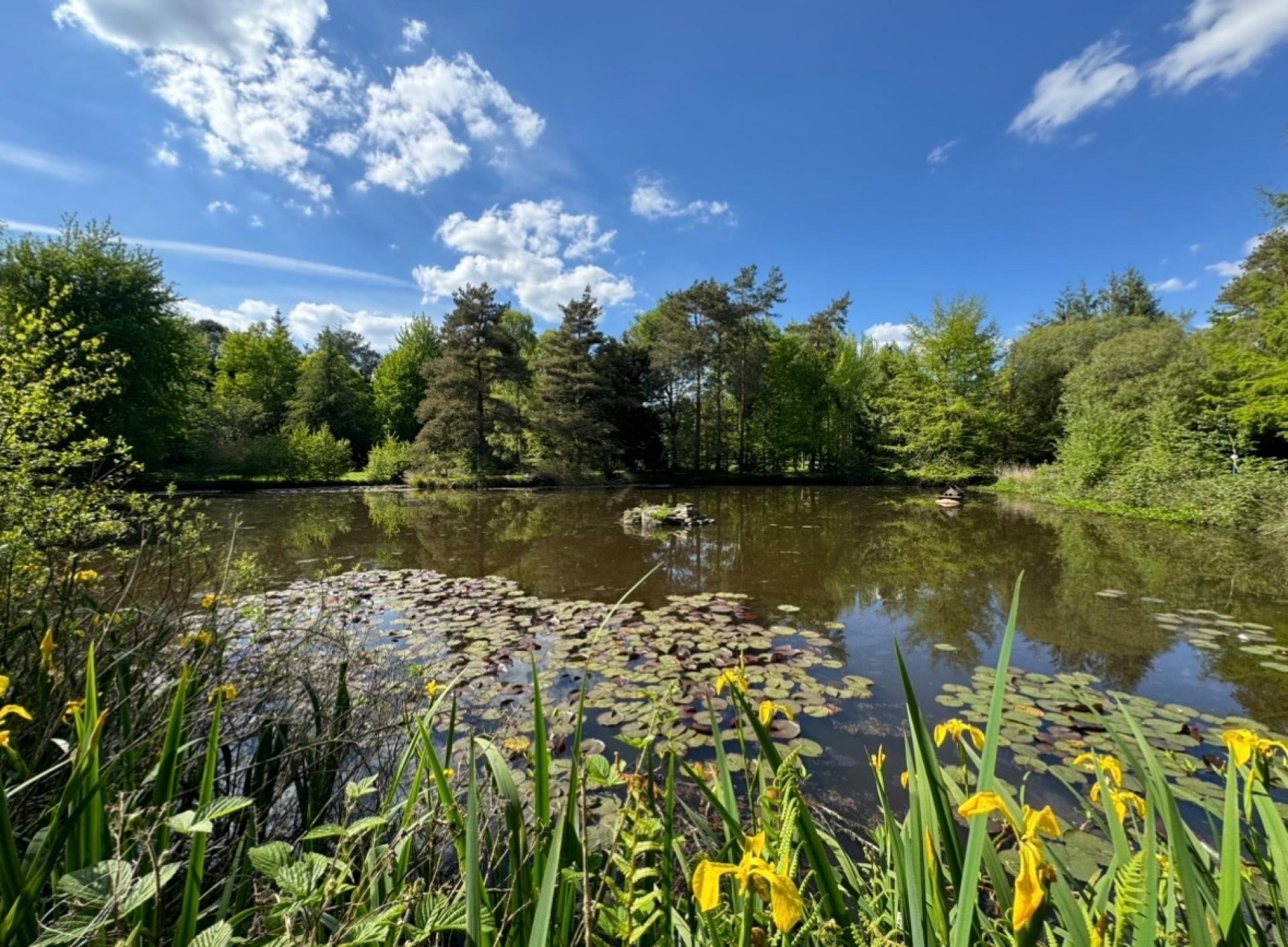 Miniature photo - 4 / 16