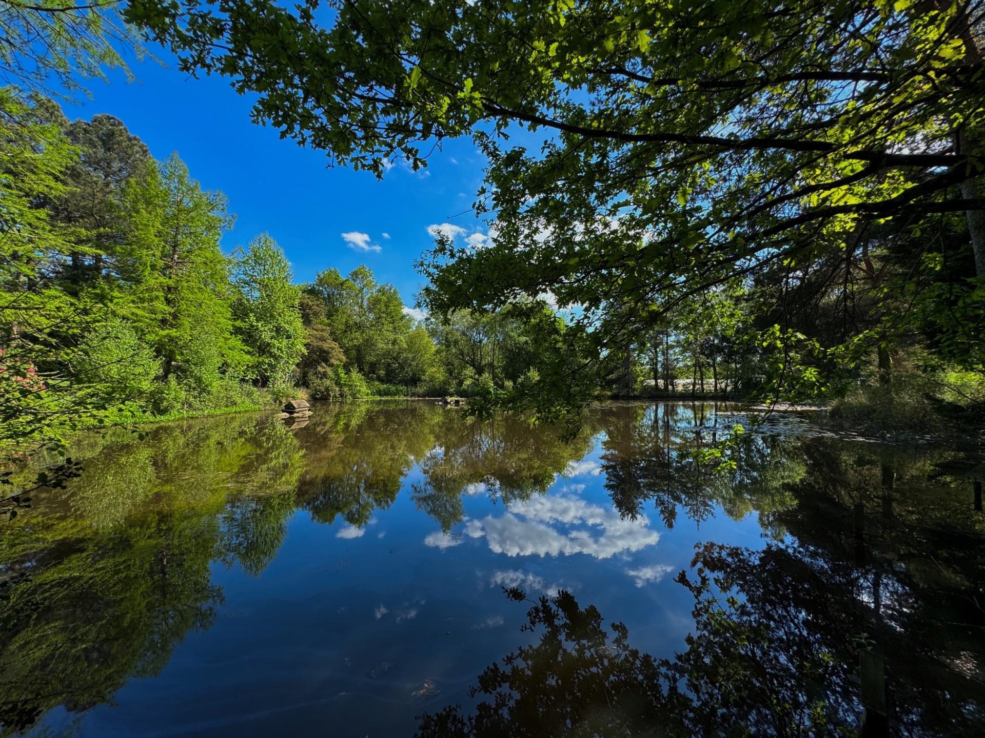 Miniature photo - 5 / 16