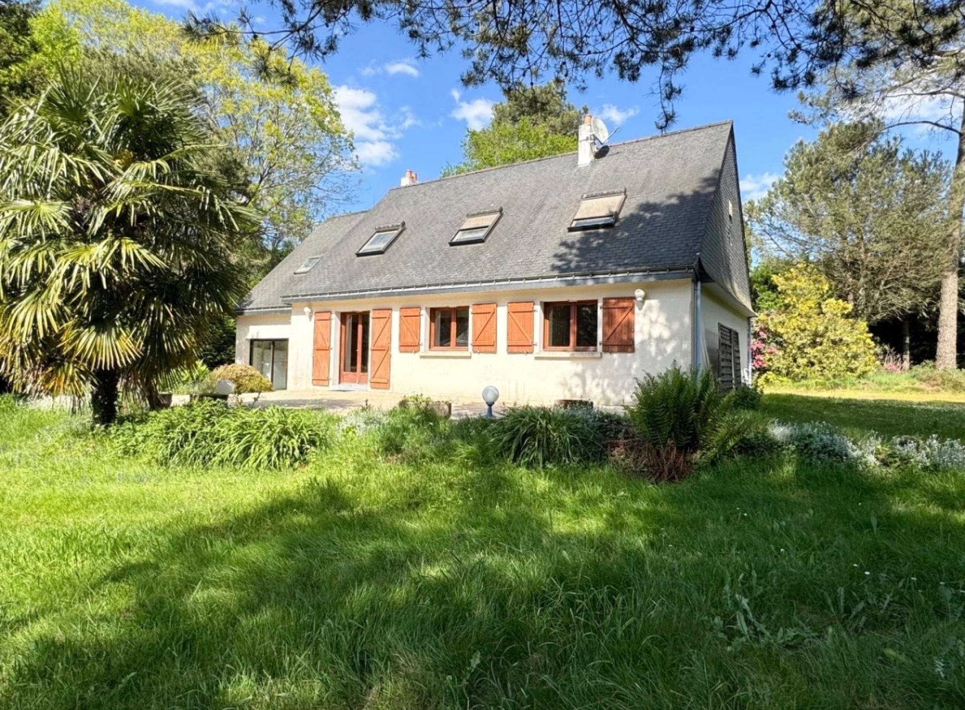 Miniature photo - 2 / 16