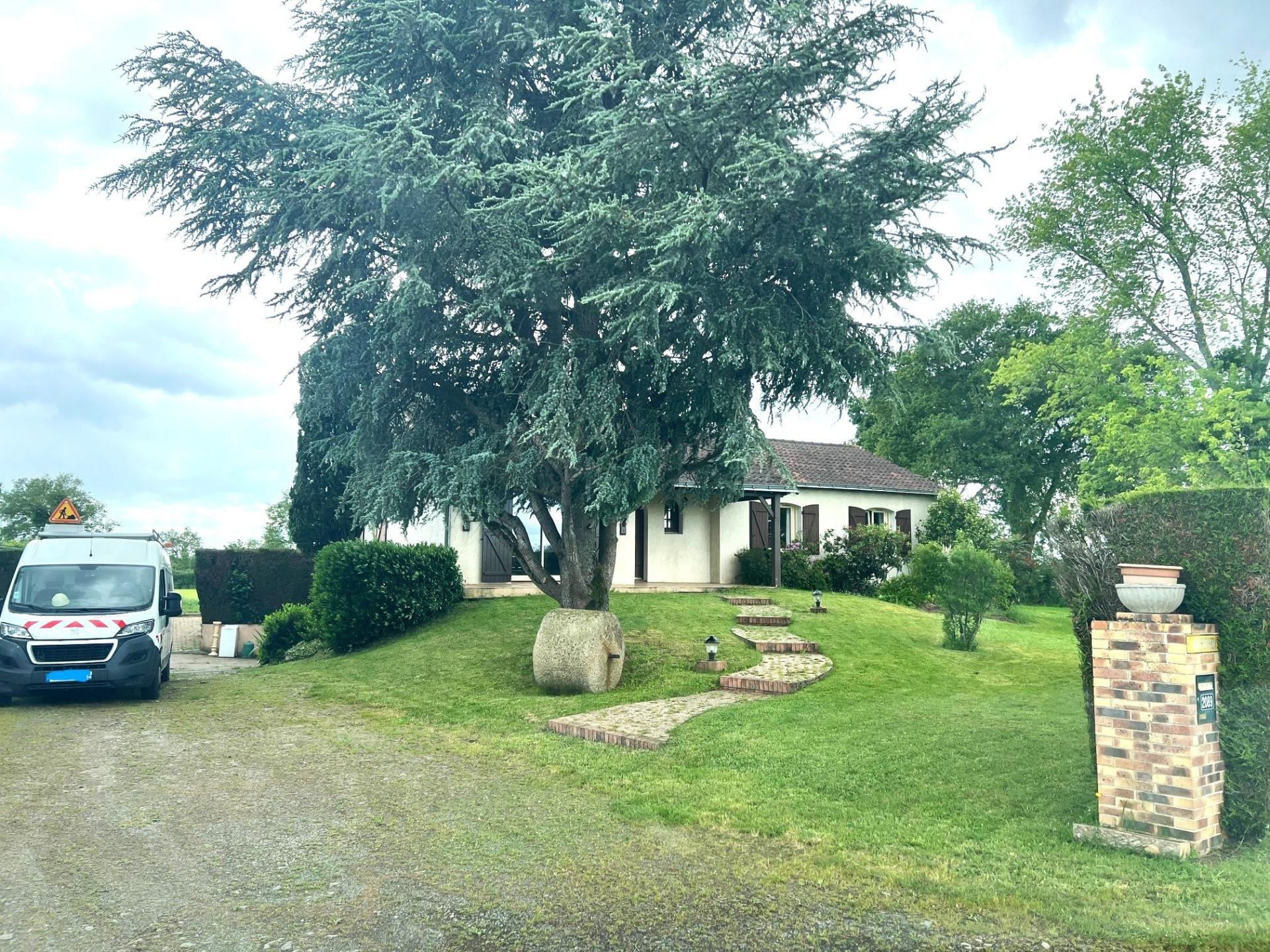 Miniature photo - 2 / 2