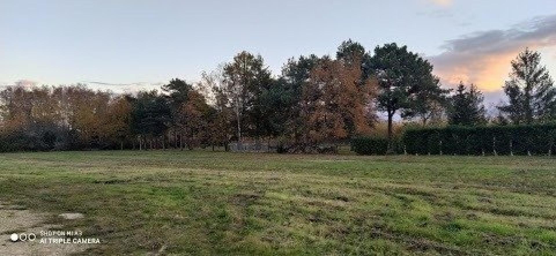 Miniature photo - 2 / 7