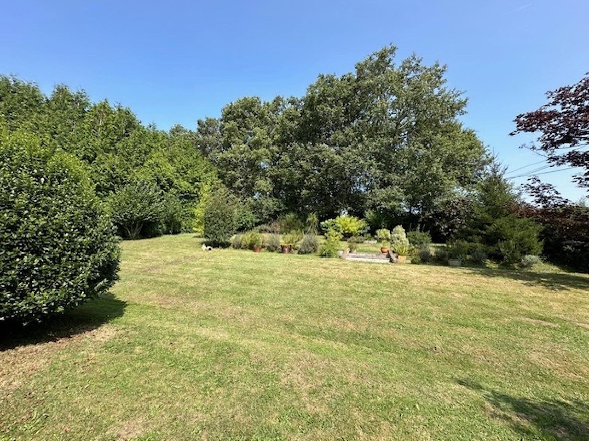 Miniature photo - 15 / 15