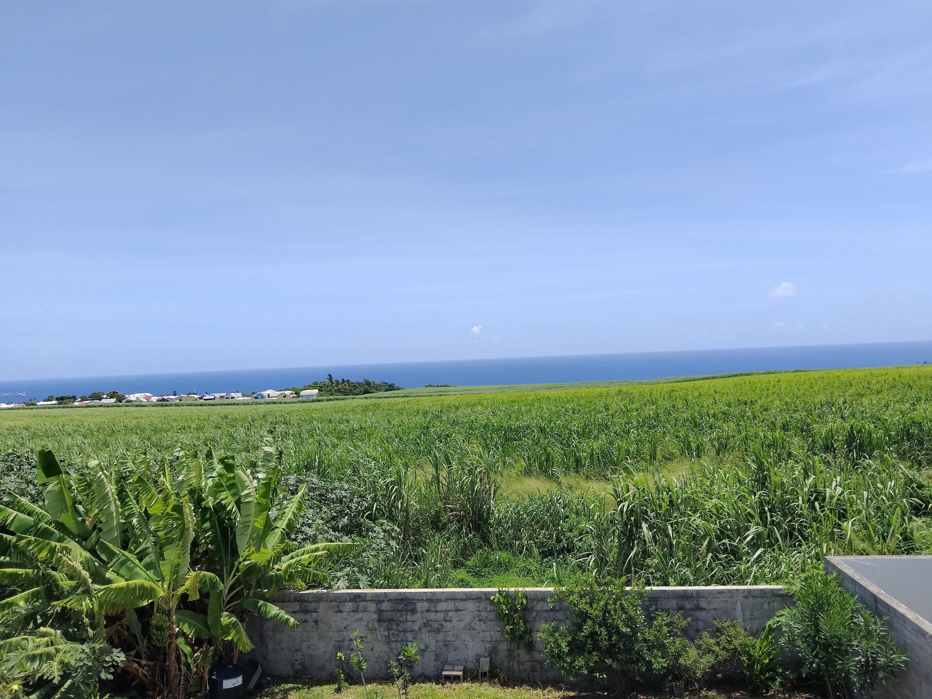 Miniature photo - 5 / 6