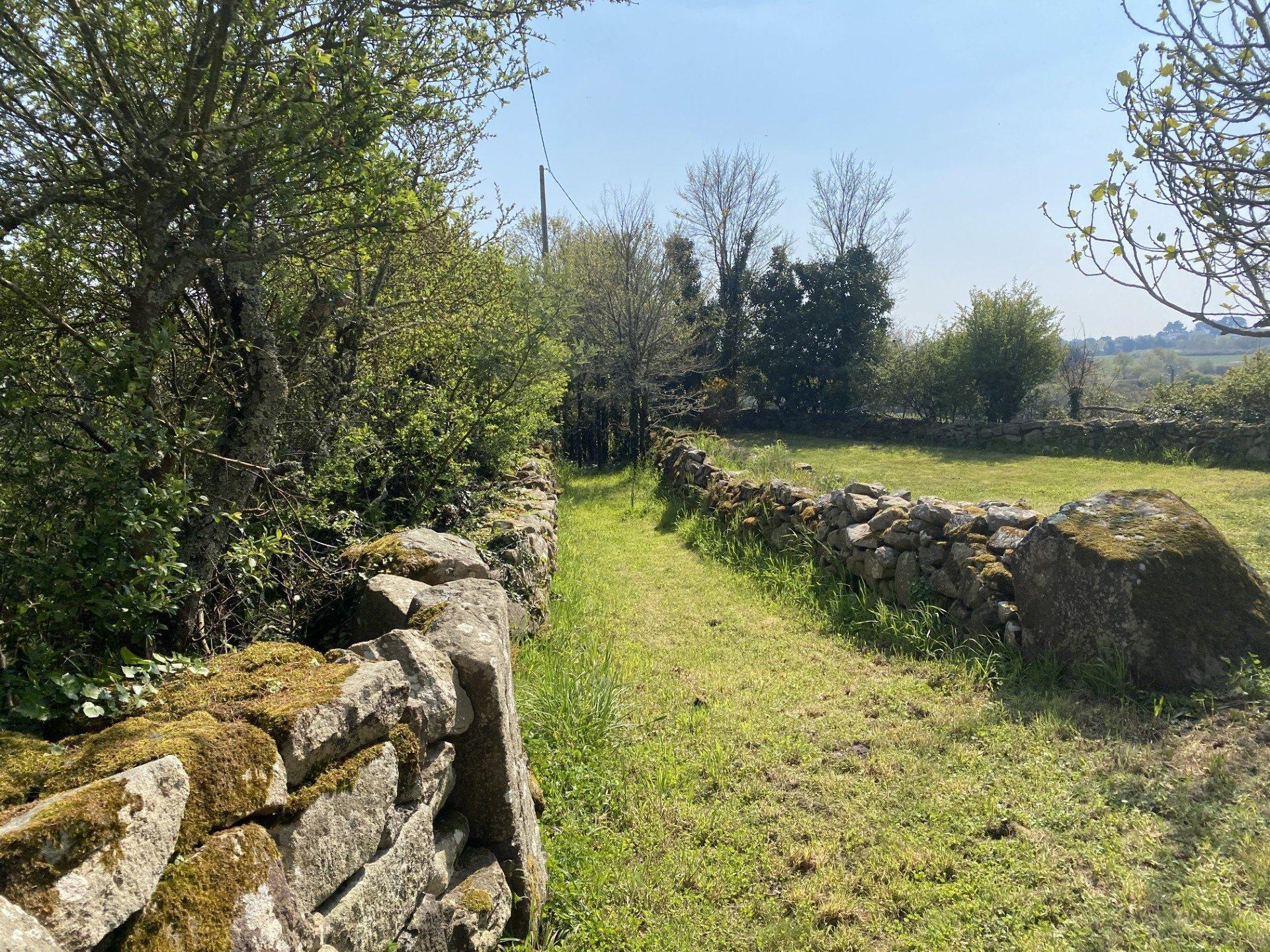 Miniature photo - 3 / 10