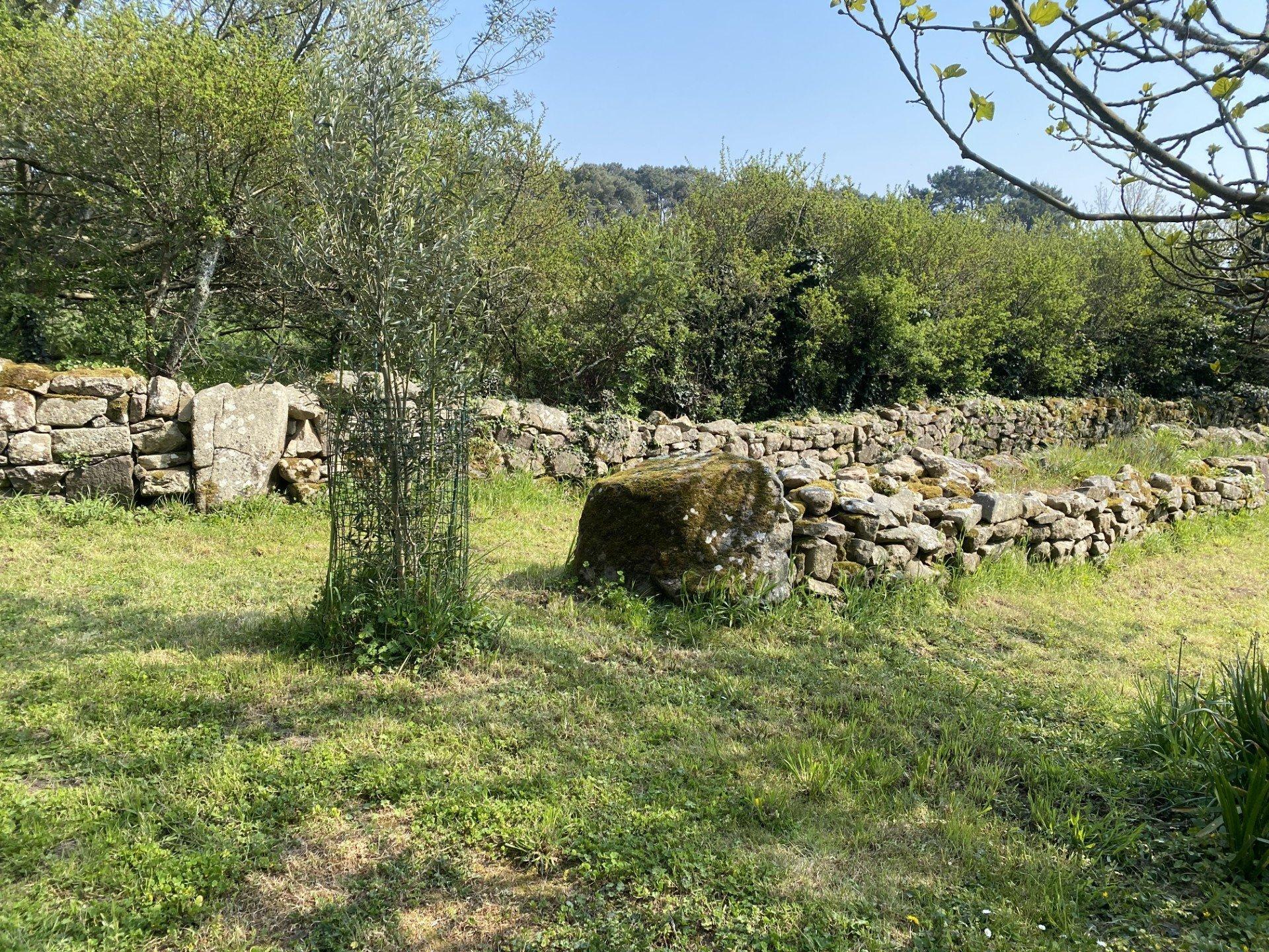 Miniature photo - 4 / 10