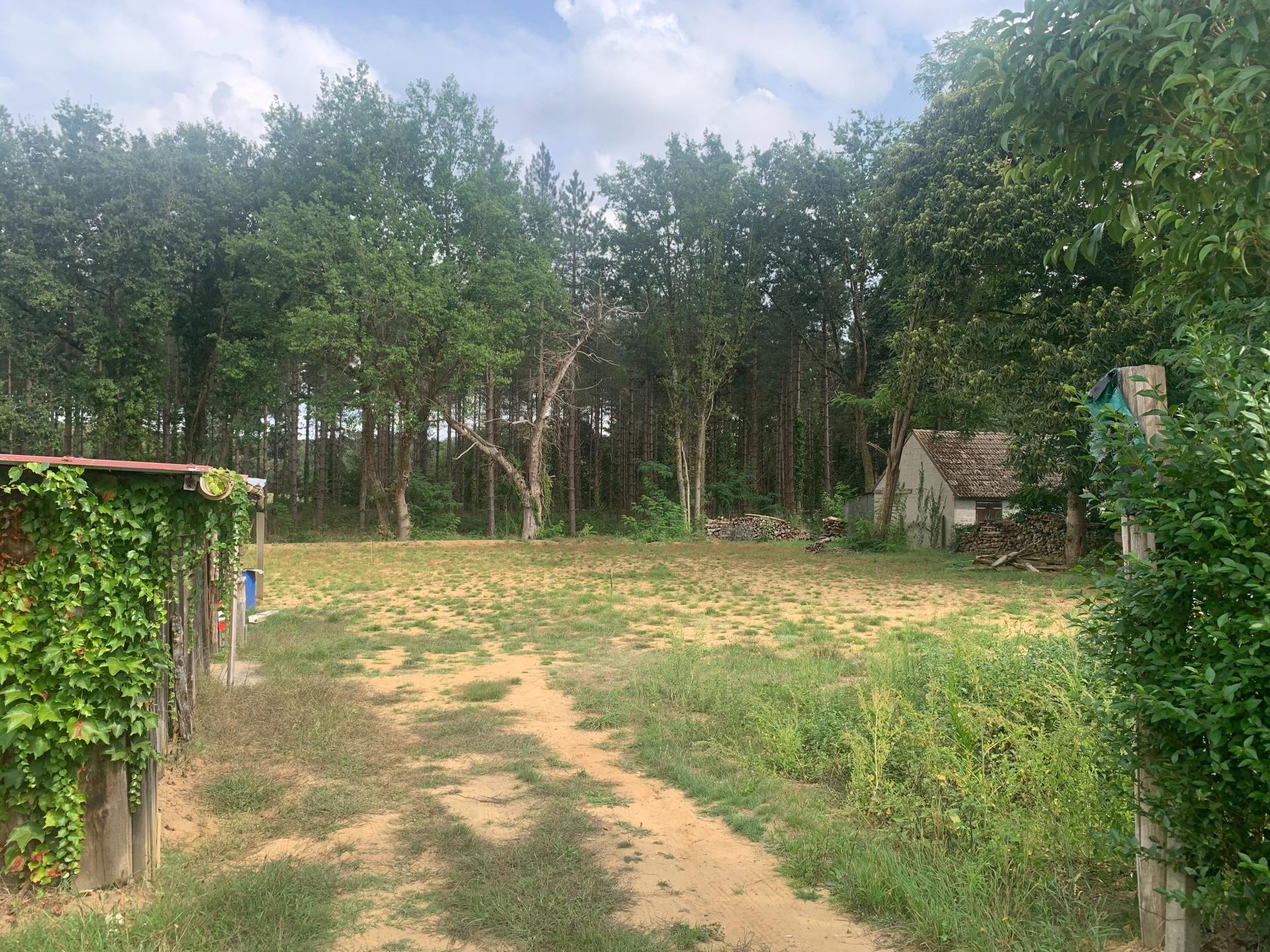 Miniature photo - 13 / 14