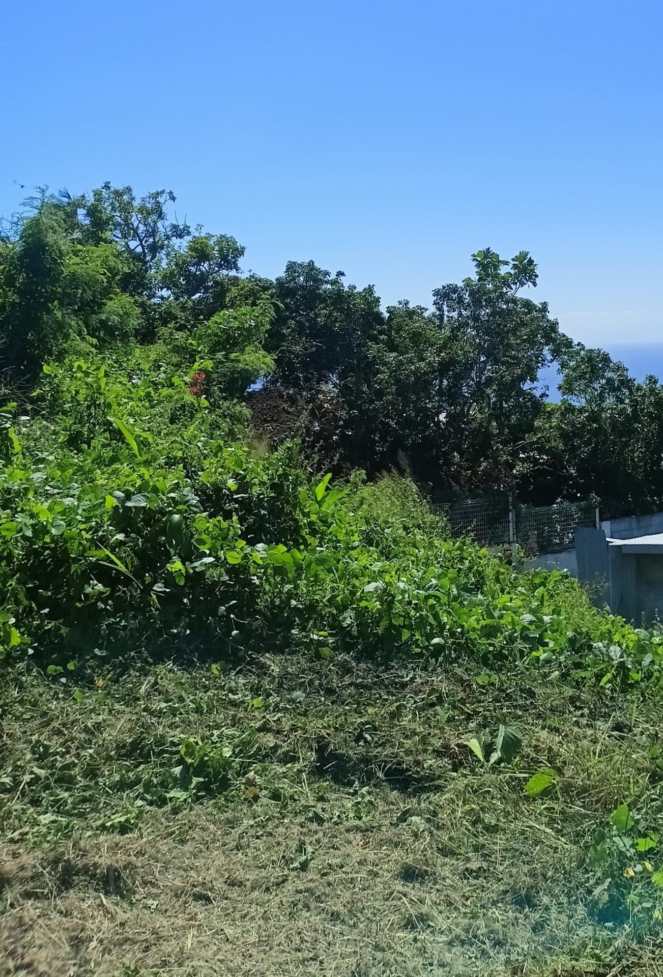 Miniature photo - 4 / 6