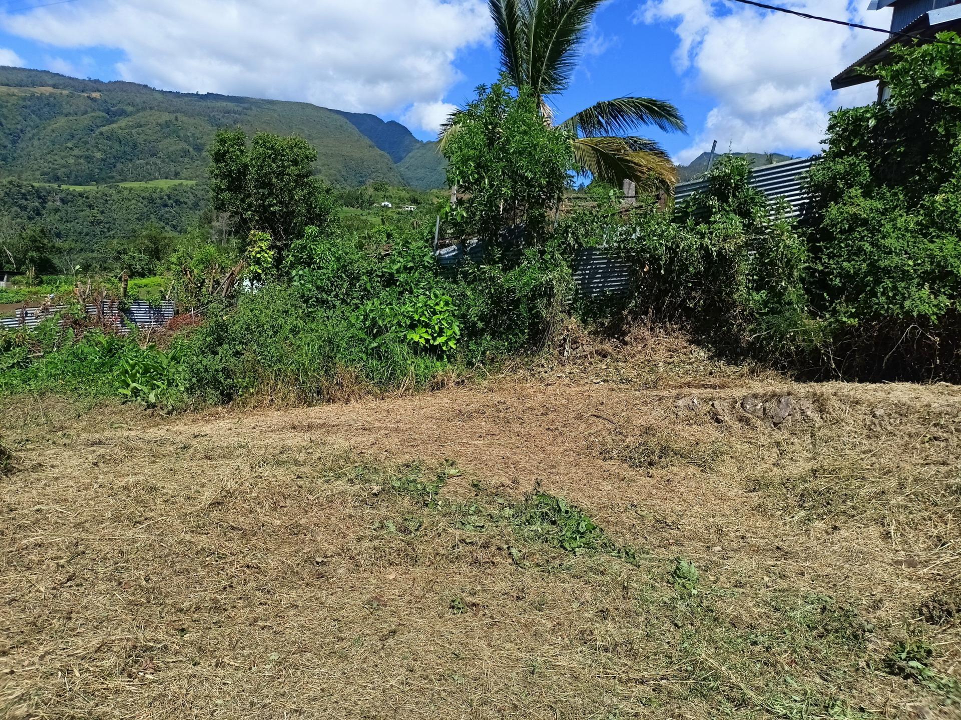 Miniature photo - 5 / 6