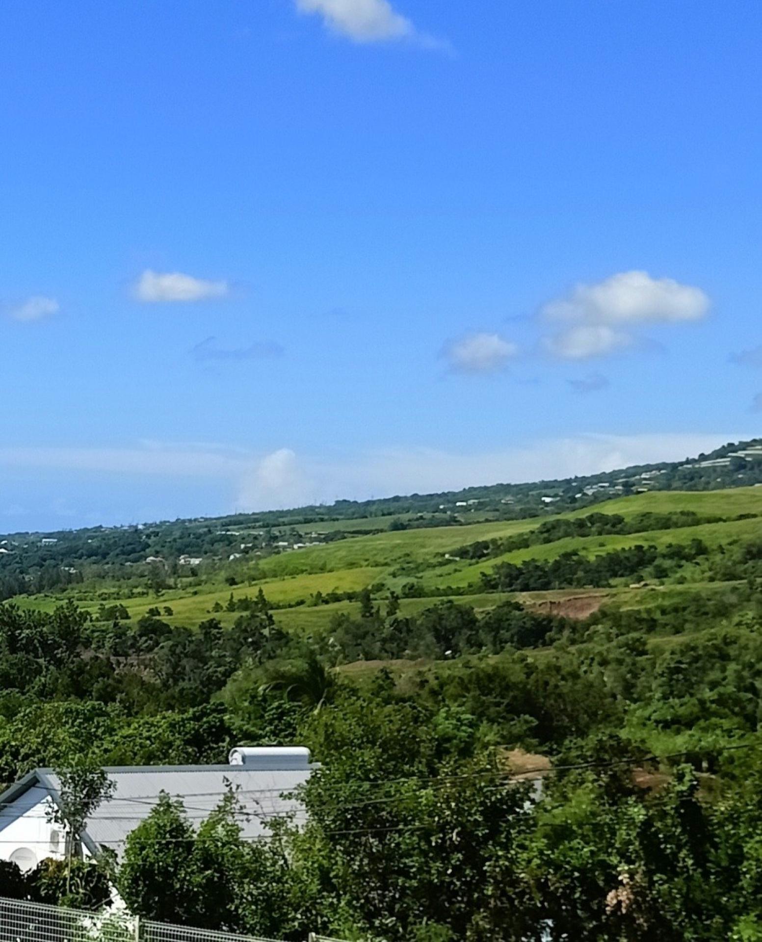 Miniature photo - 2 / 6