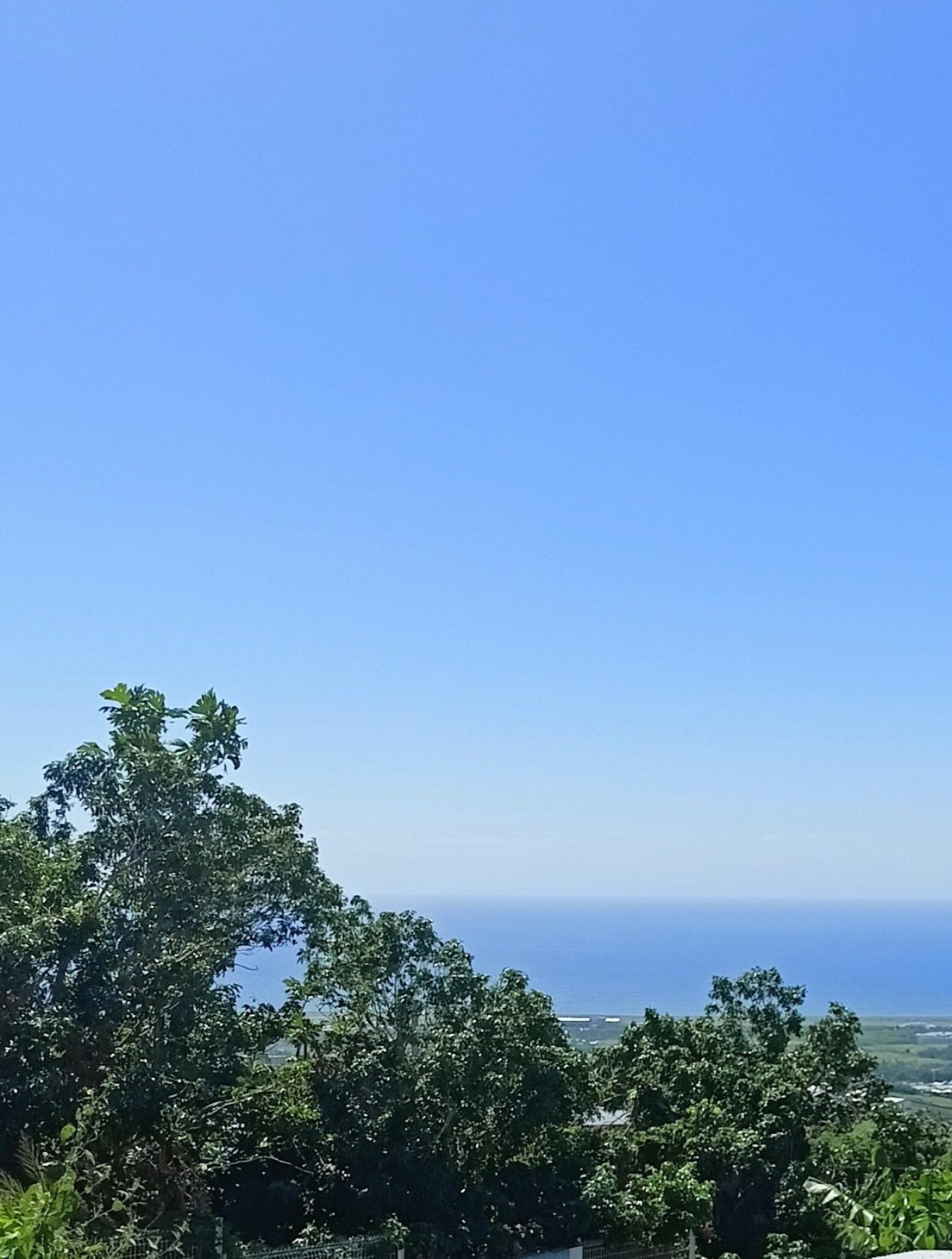 Miniature photo - 3 / 6