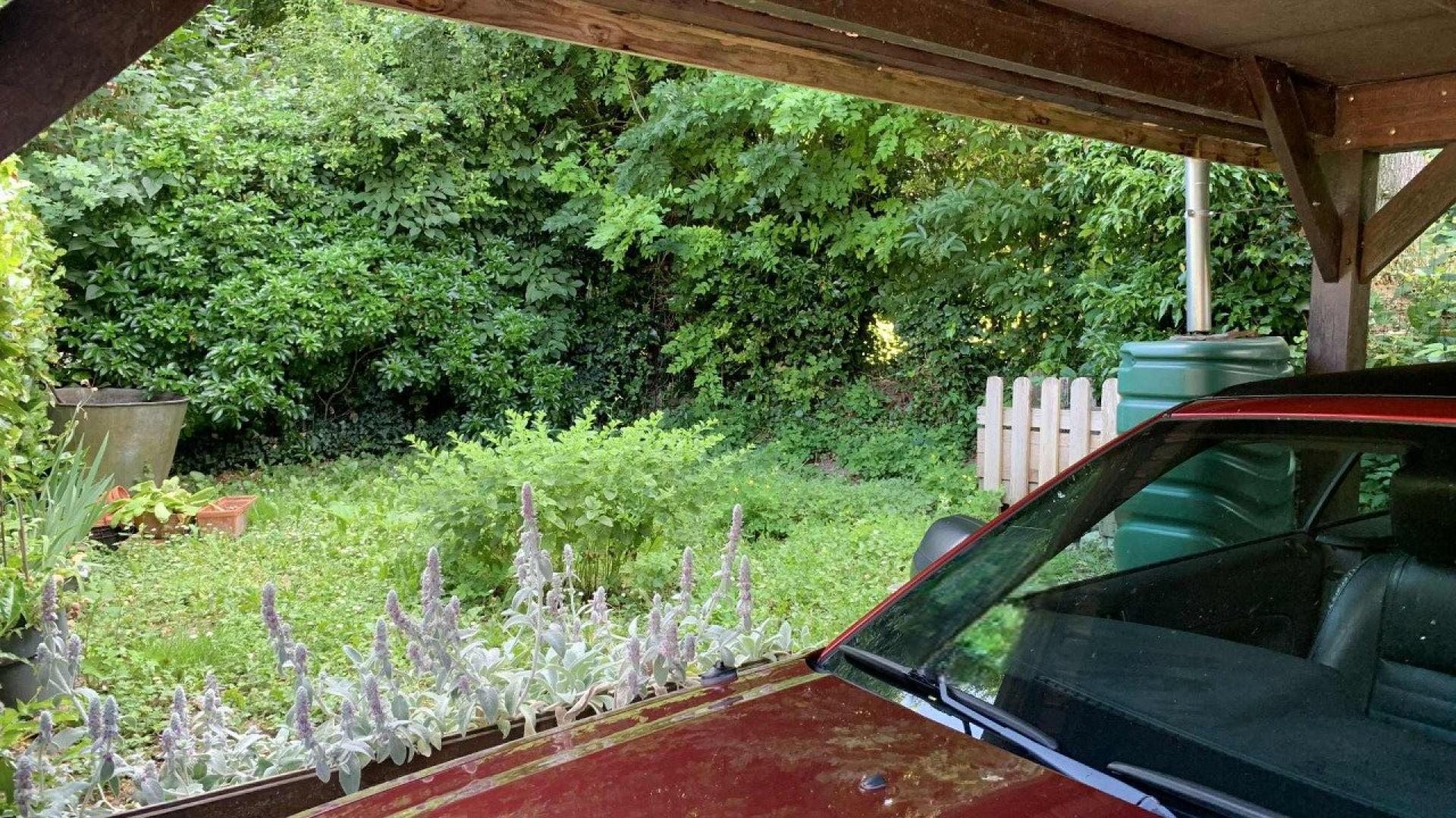 Miniature photo - 16 / 20