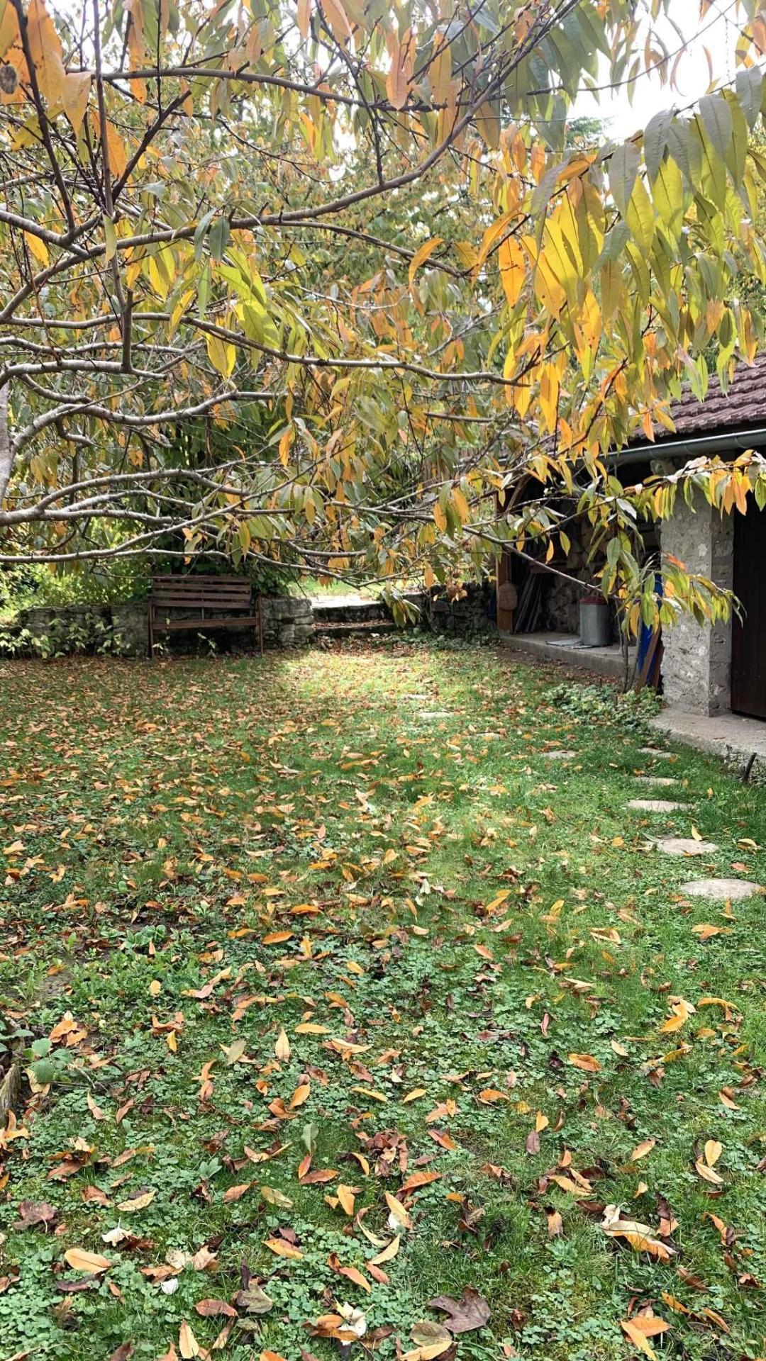 Miniature photo - 20 / 20