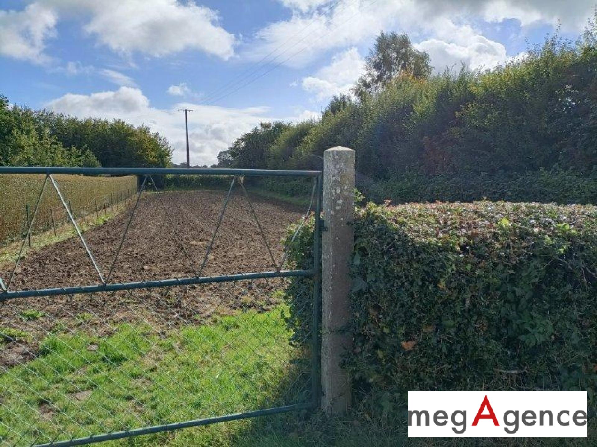 Miniature photo - 3 / 6