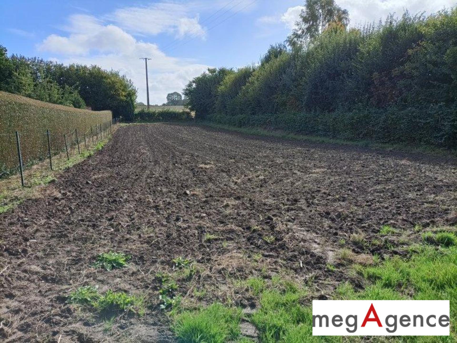 Miniature photo - 5 / 6