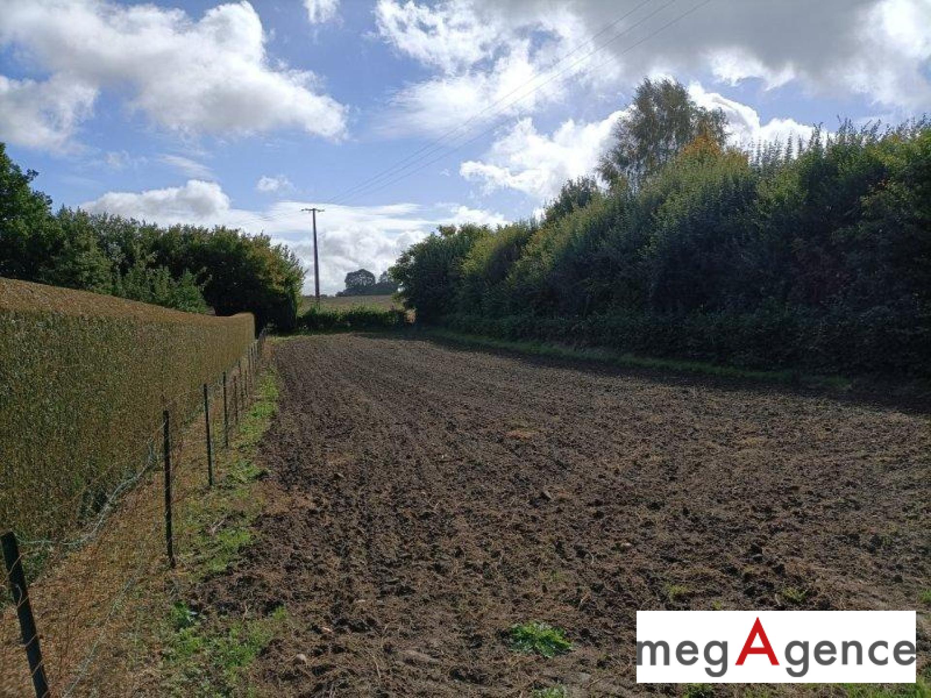 Miniature photo - 2 / 6