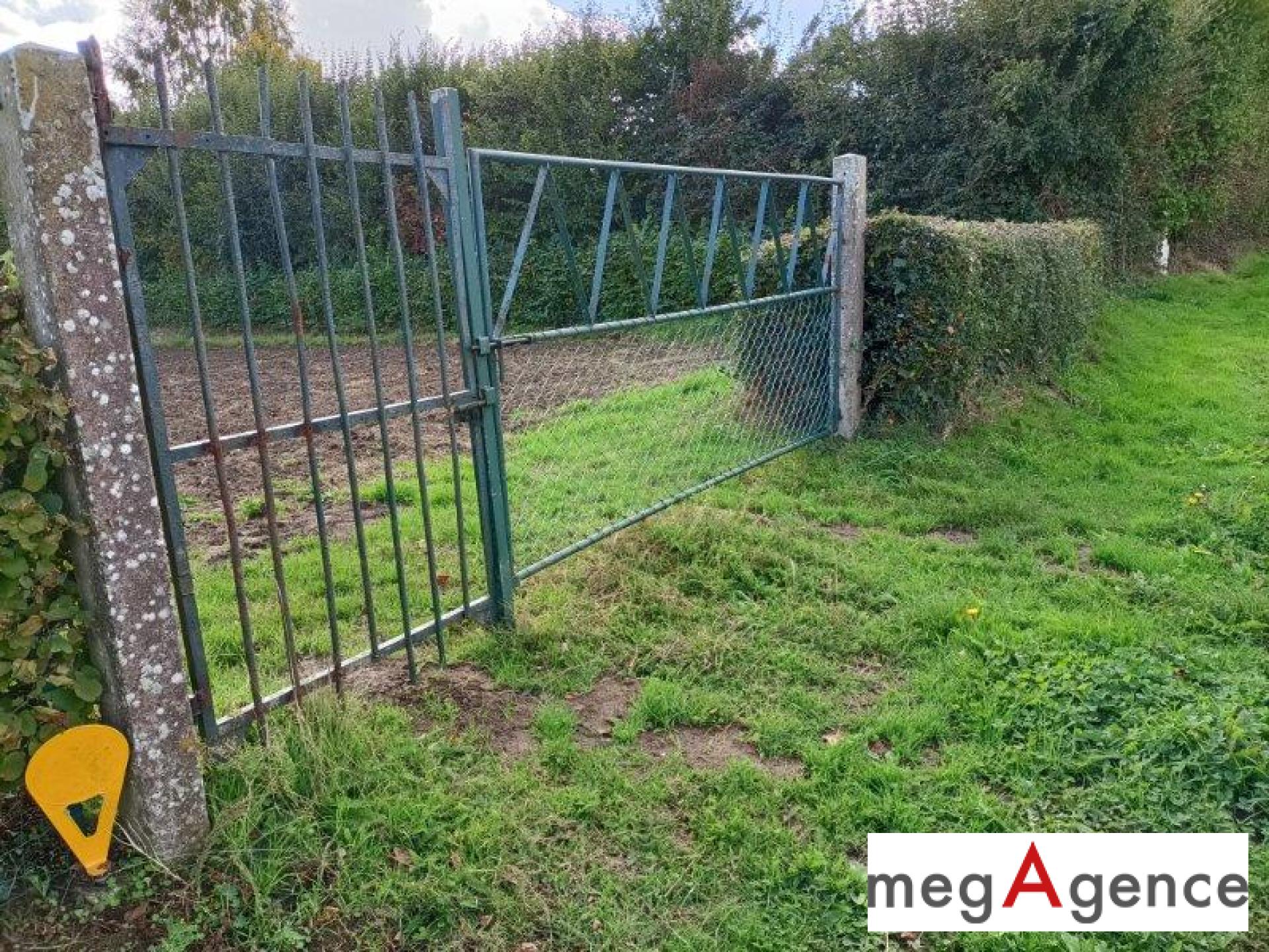 Miniature photo - 4 / 6