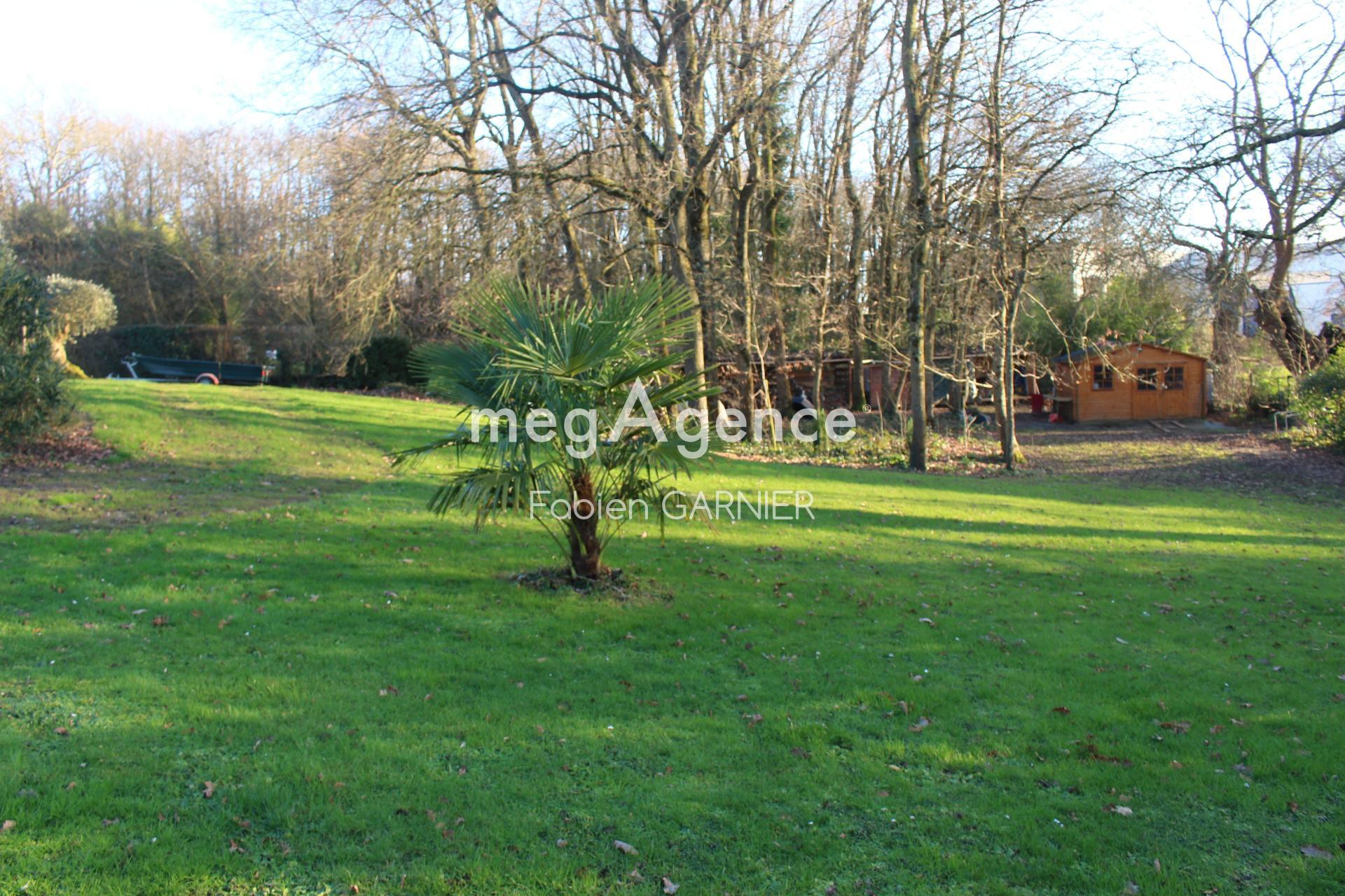 Miniature photo - 4 / 7