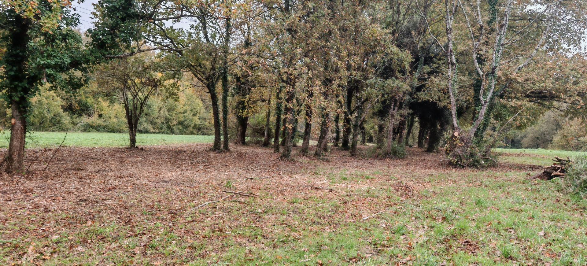 Photographie descriptive du bien