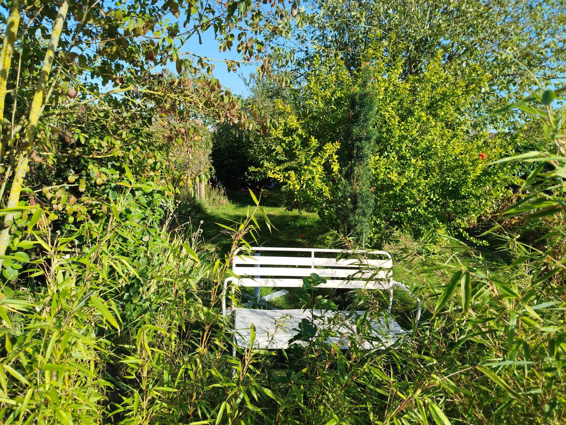 Miniature photo - 3 / 15