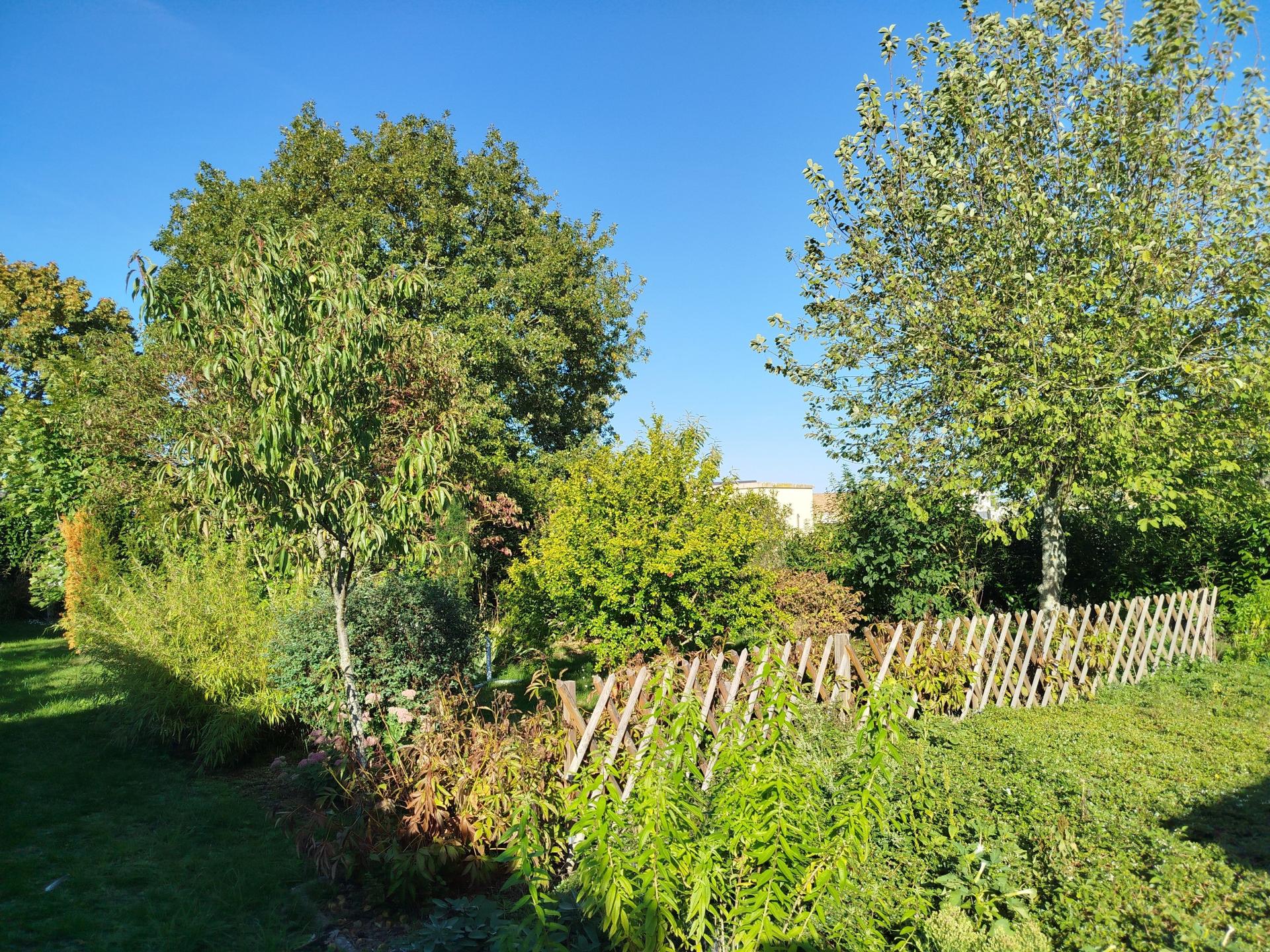 Miniature photo - 15 / 15