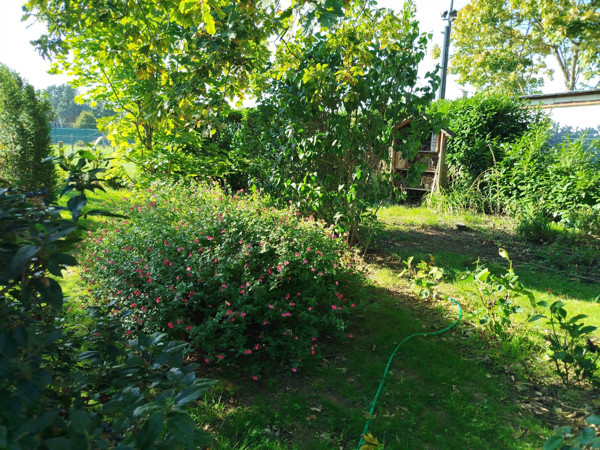 Miniature photo - 14 / 15