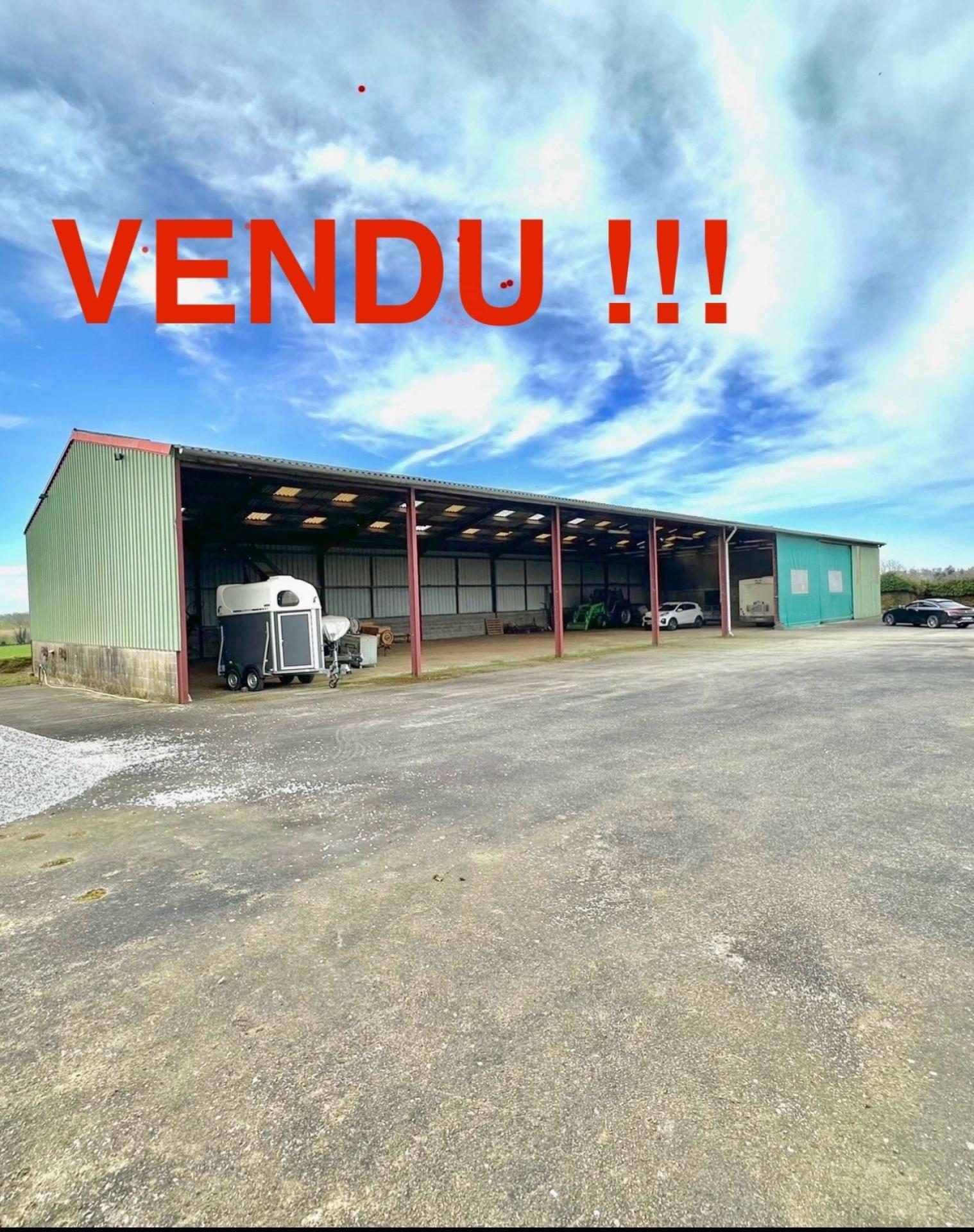 Miniature photo - 6 / 6