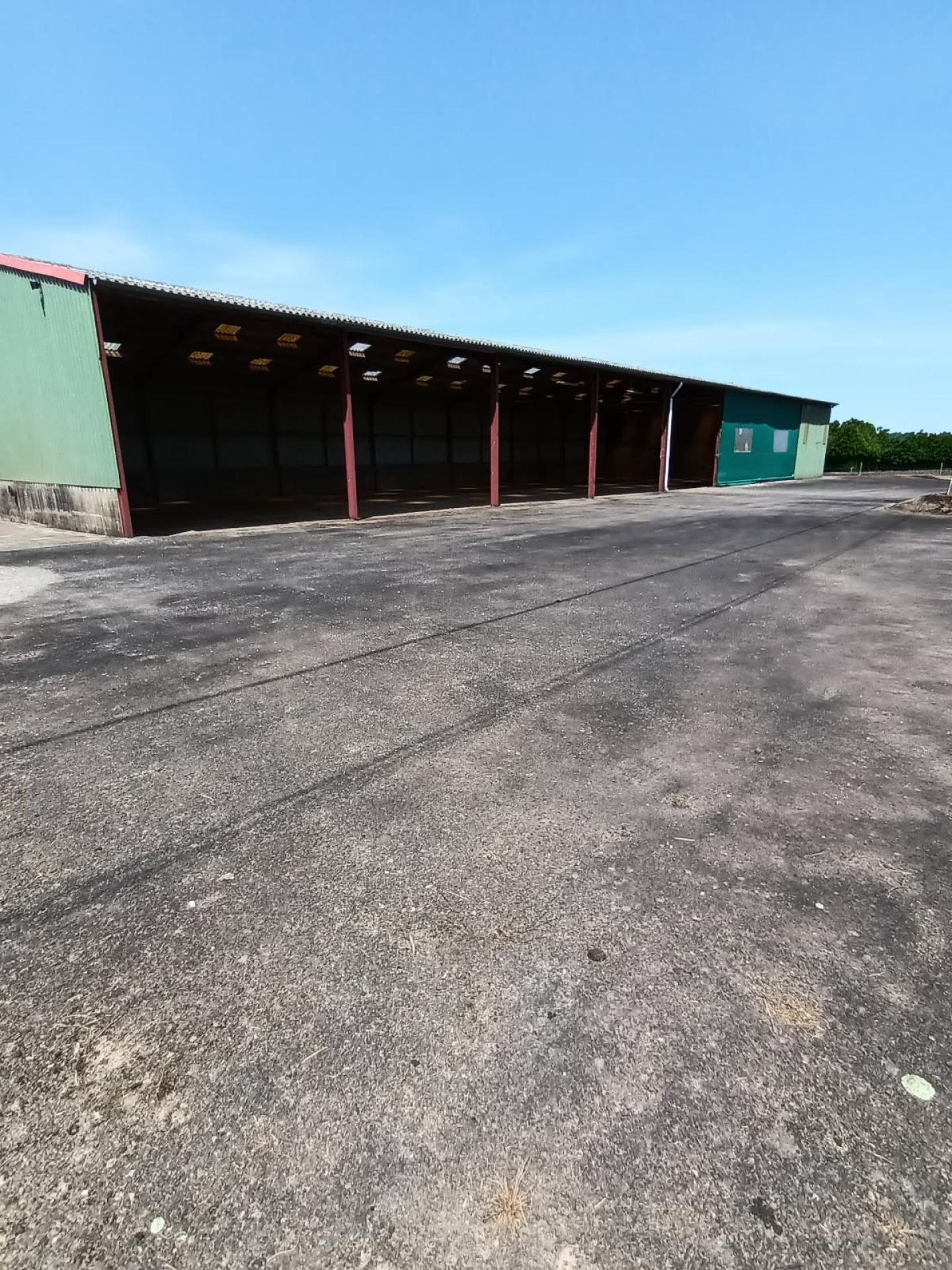 Miniature photo - 3 / 6