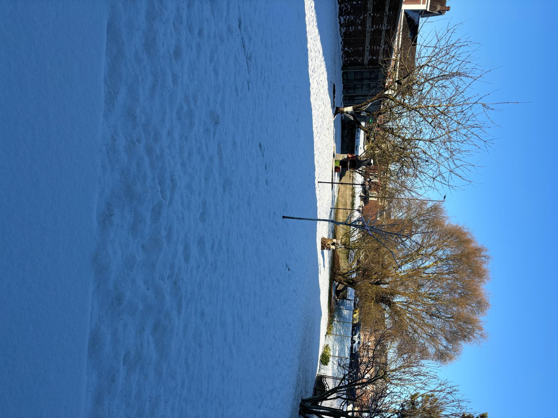 Miniature photo - 3 / 15