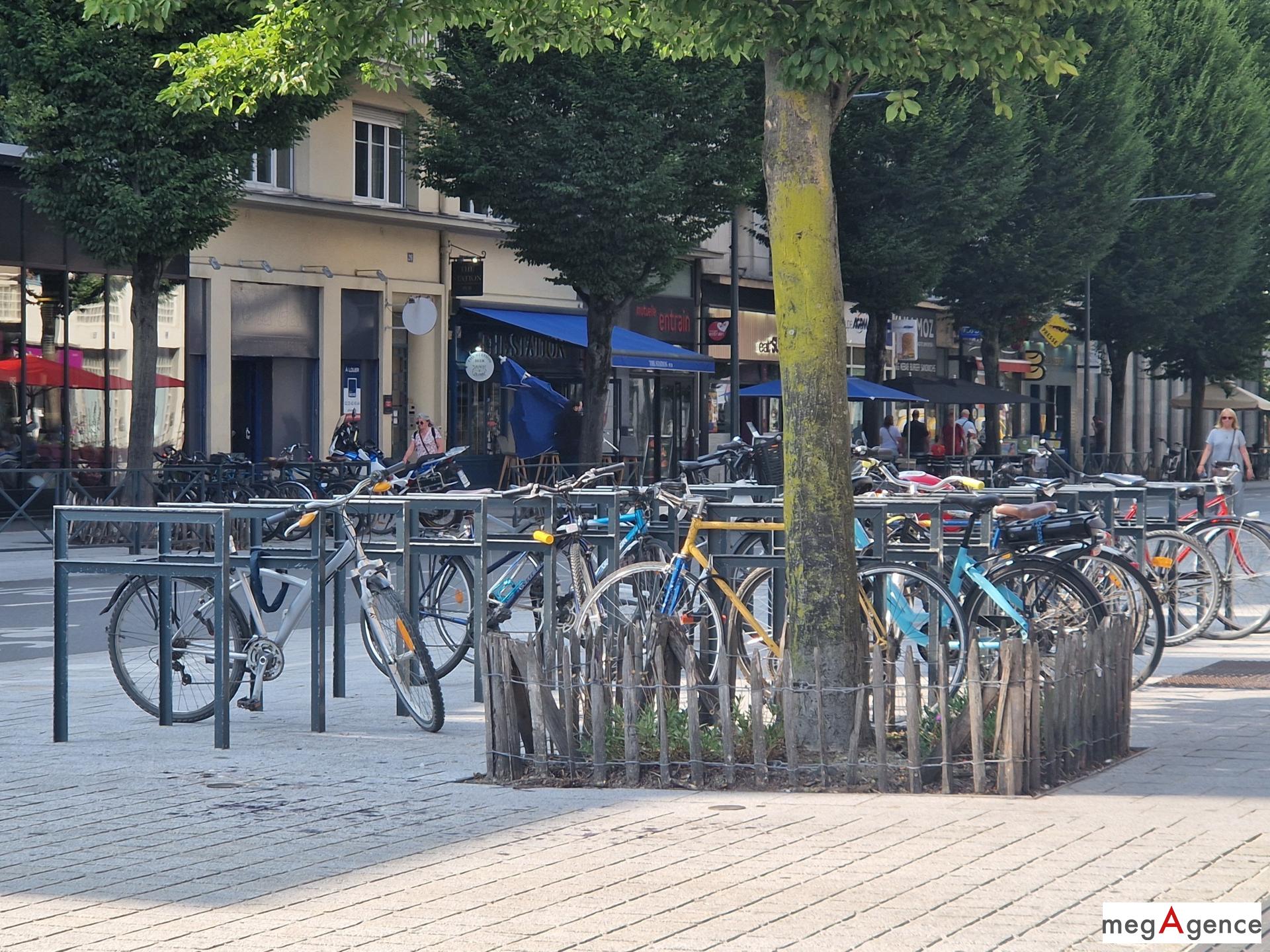 Miniature photo - 7 / 7