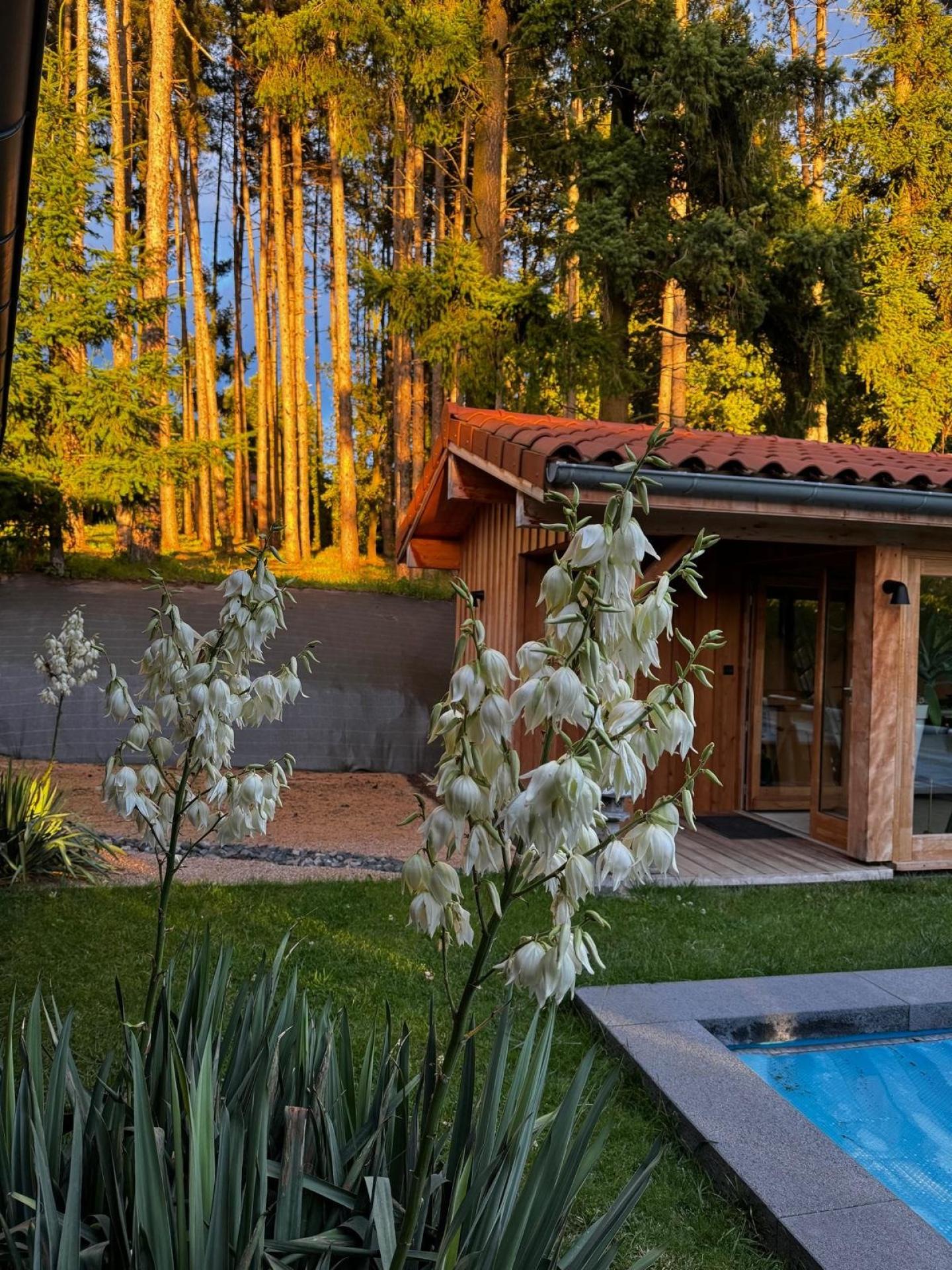 Miniature photo - 4 / 20