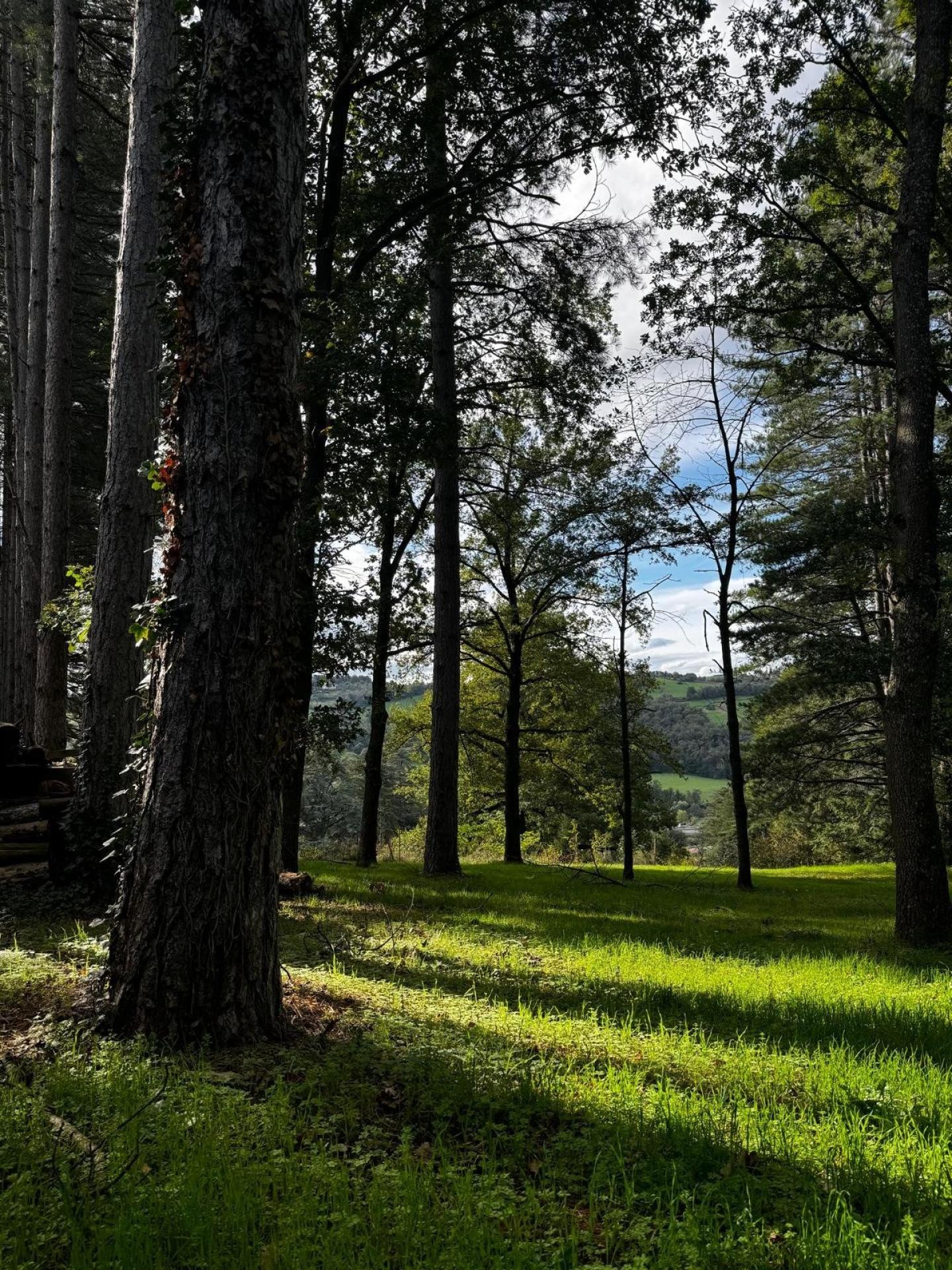 Miniature photo - 14 / 20