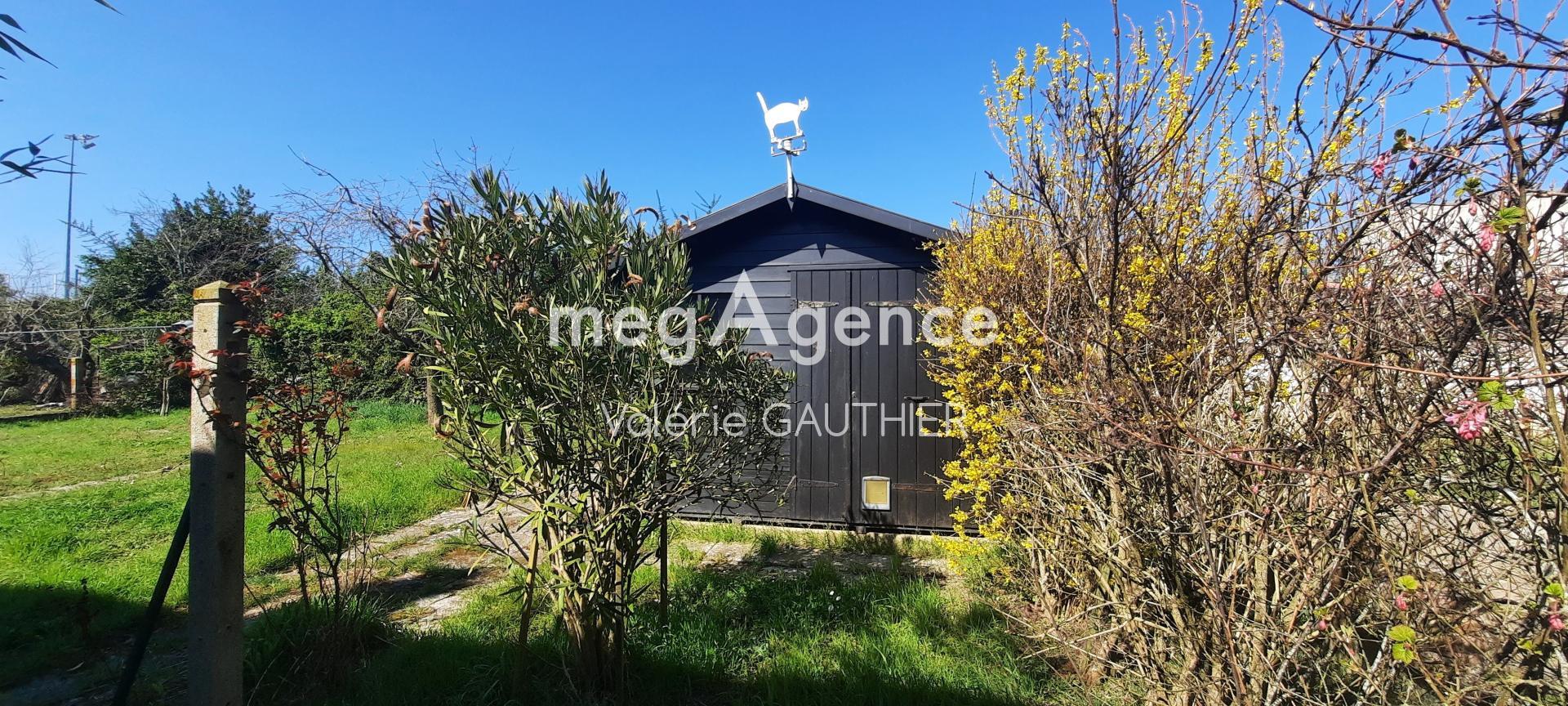 Miniature photo - 3 / 13