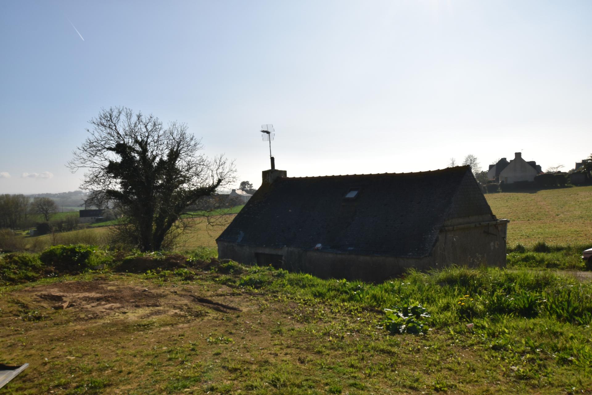 Miniature photo - 2 / 3